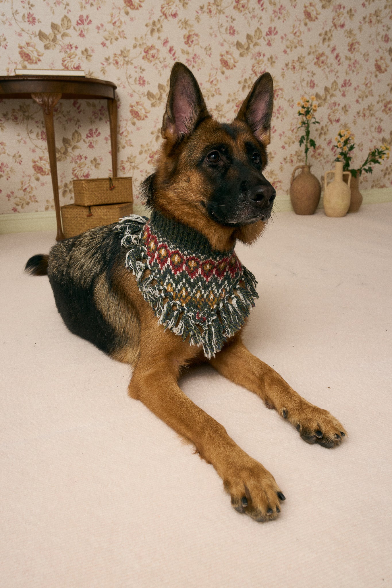 《スタイ》multi knit / No. 515