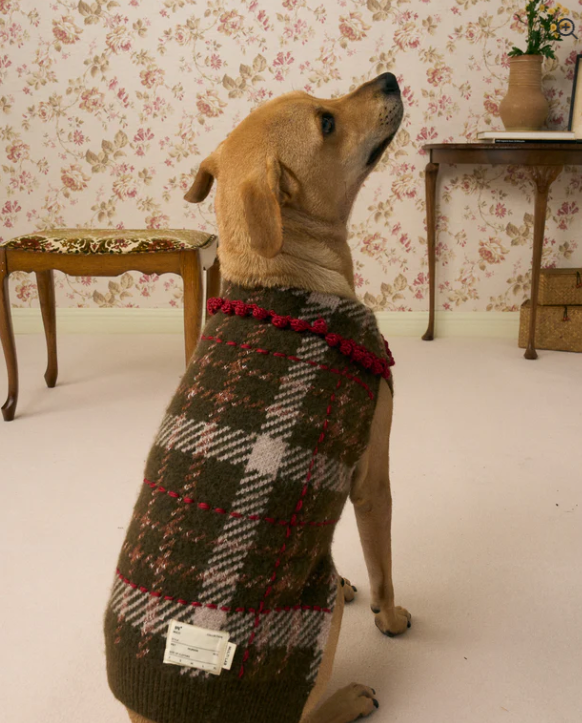 犬服》multi knit / No. 506 – mellowbear