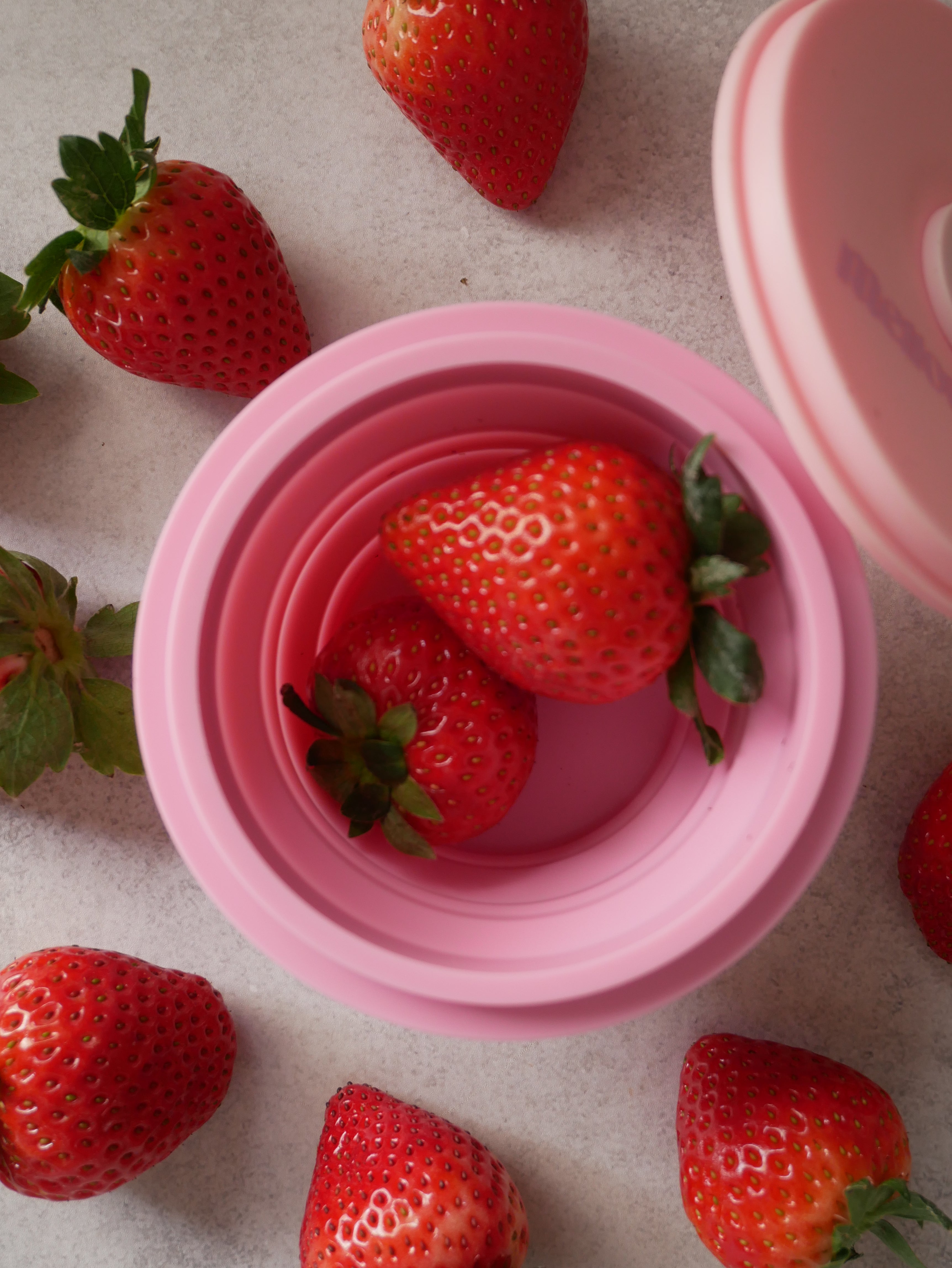 限定色》蓋付きお水飲みボウル / Dream Haze Collection – mellowbear