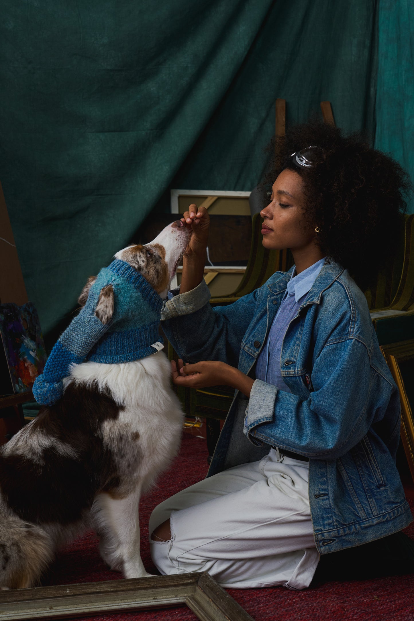 《犬用帽子》multi knit / No.402