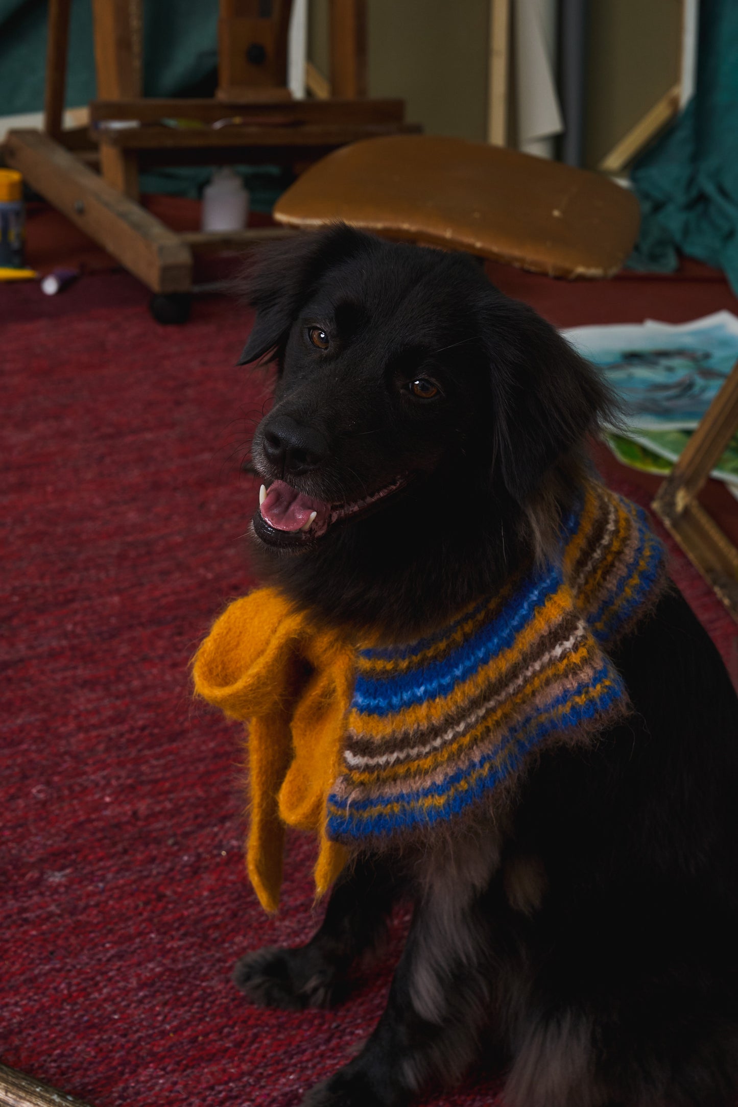 《スタイ》multi knit / No.417