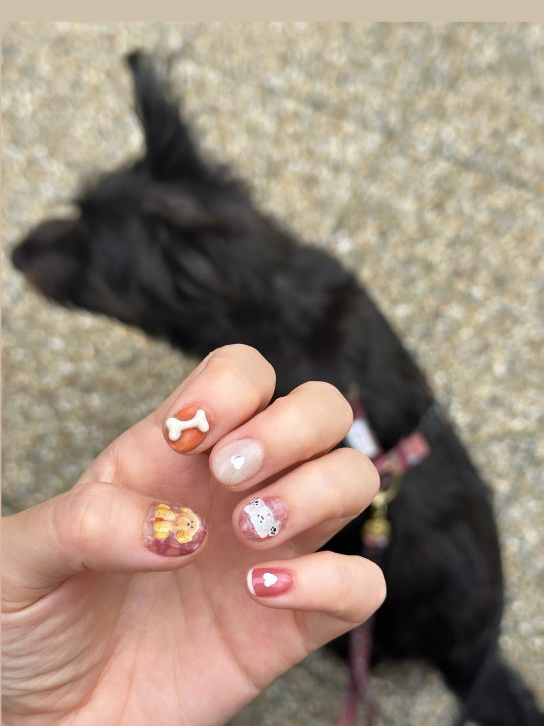 nail seal with dogs
