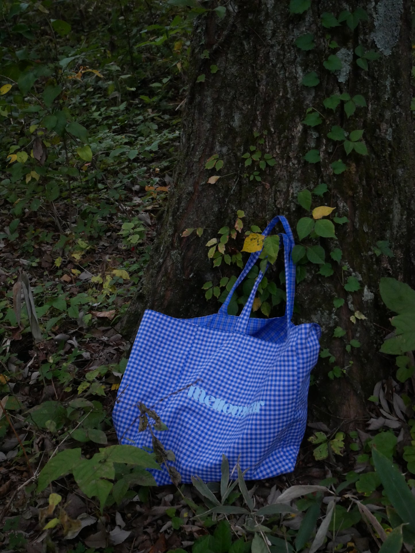 mellow tote / お散歩バッグ