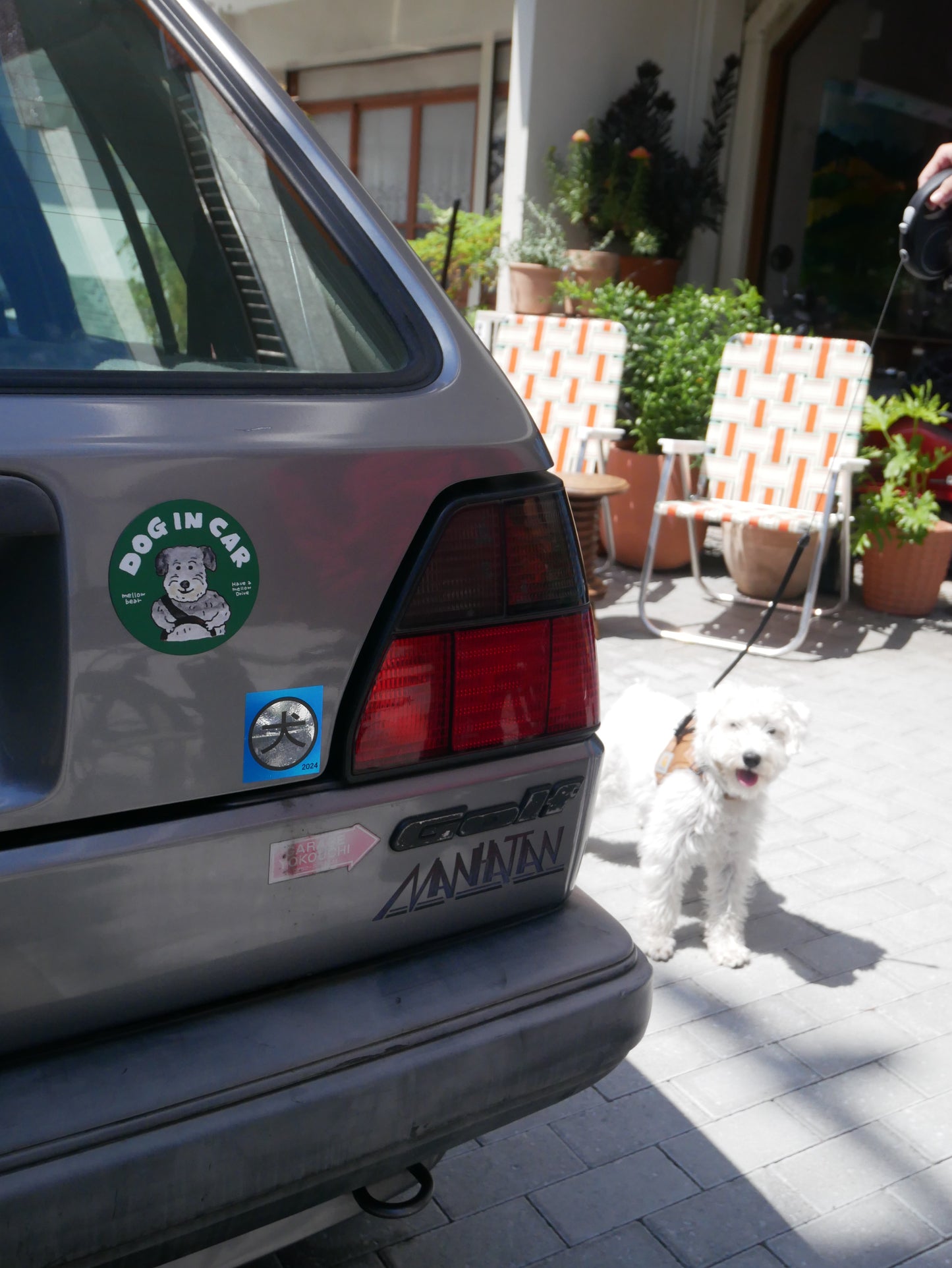 DOG IN CAR magnet