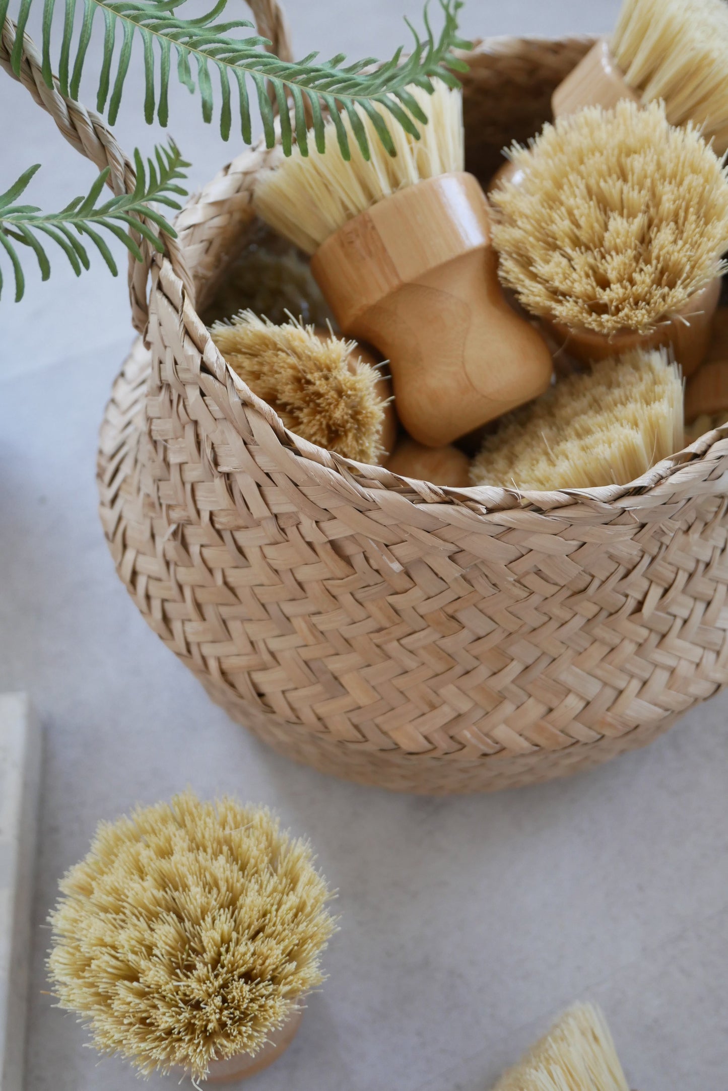 《プラスチックフリー》《わんちゃん用食器洗いブラシ》- Wholesale