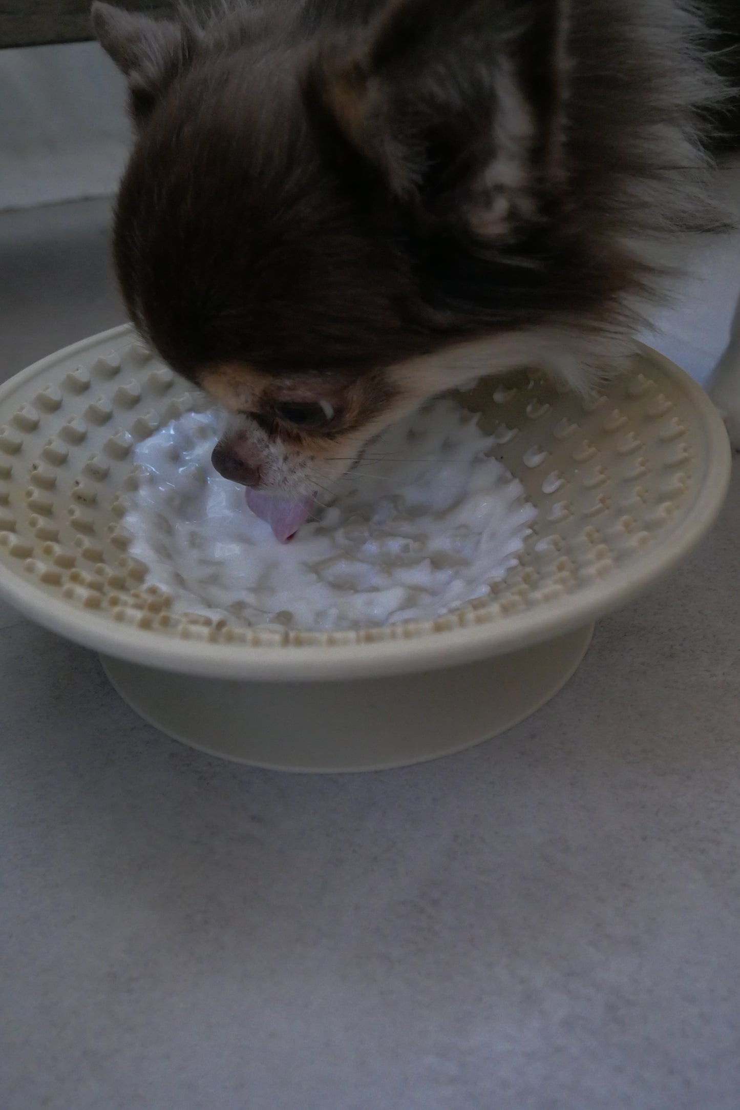 《お食事ボウル》《MELLOWBOWL》
