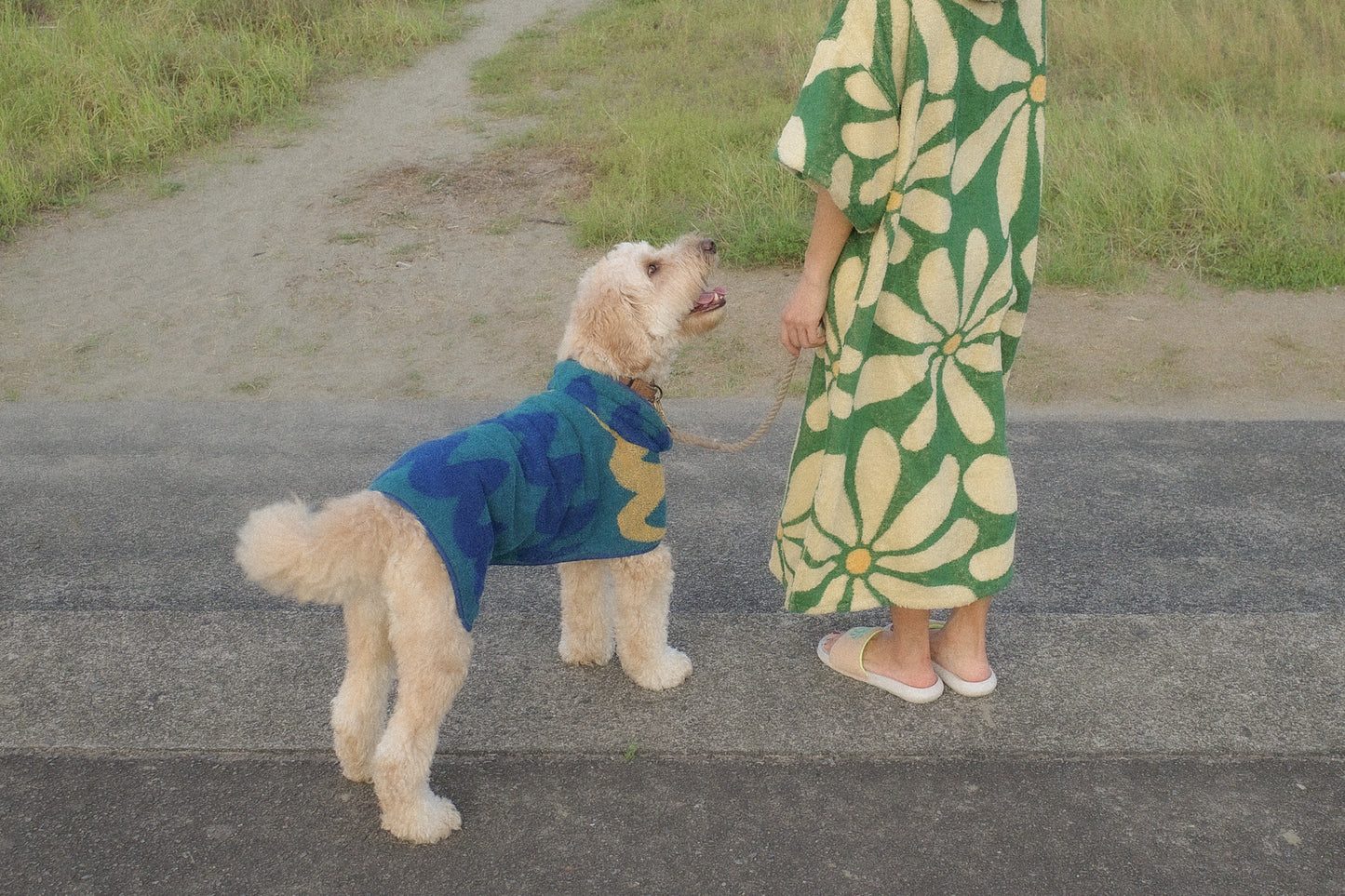 《オーガニックコットン》Dog Robe & Beach Towel