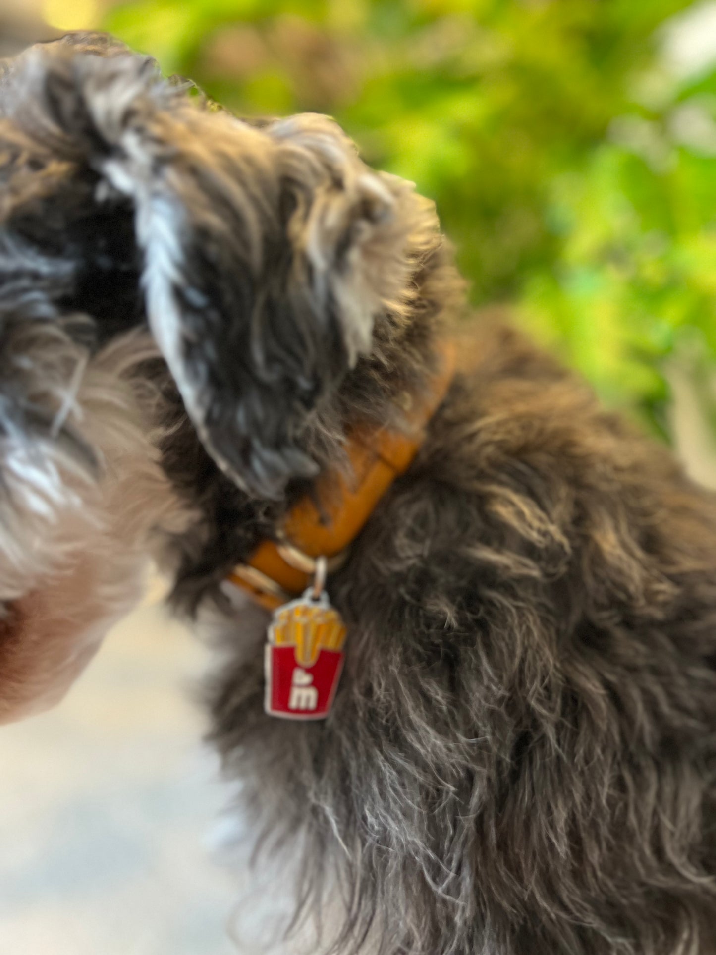 《 NAME TAG / 迷子札 》 災害対策・キーホルダー