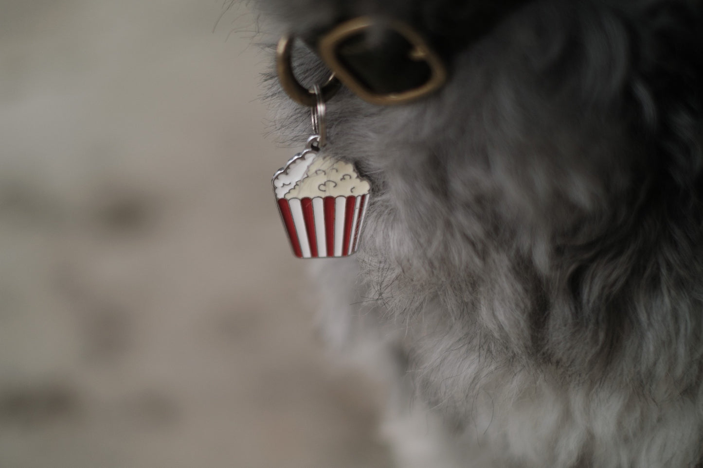 《 NAME TAG / 迷子札 》 災害対策・キーホルダー