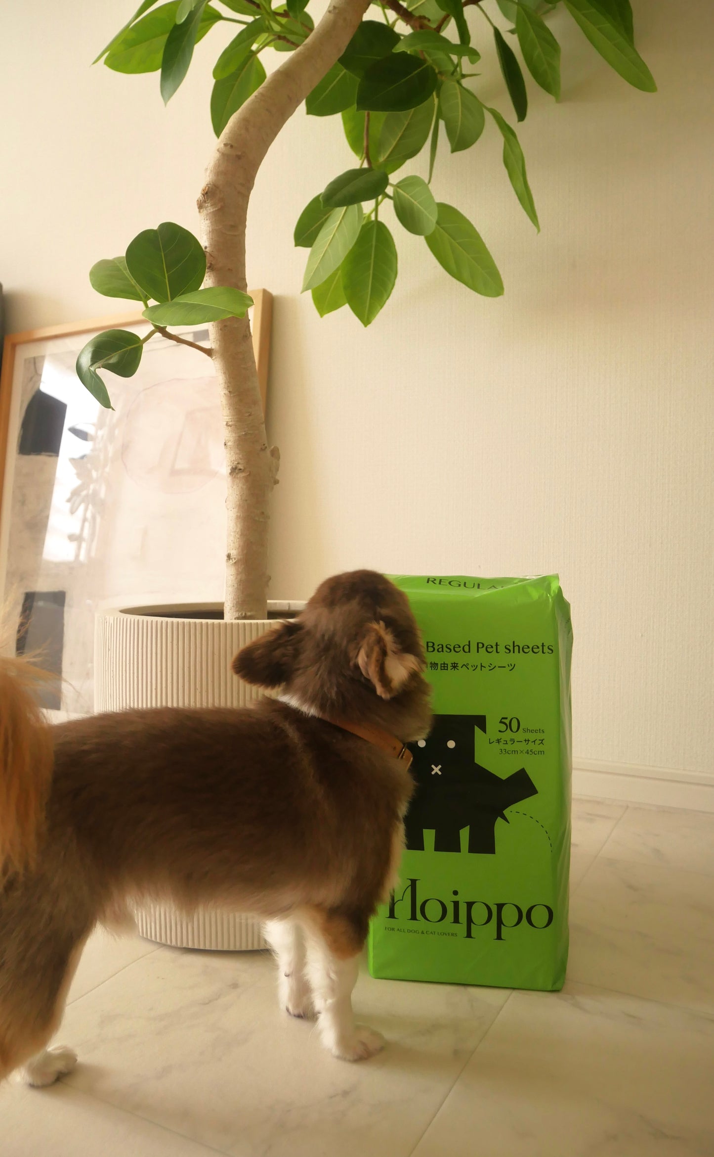 《Hoippo》《植物由来ペットシーツ》