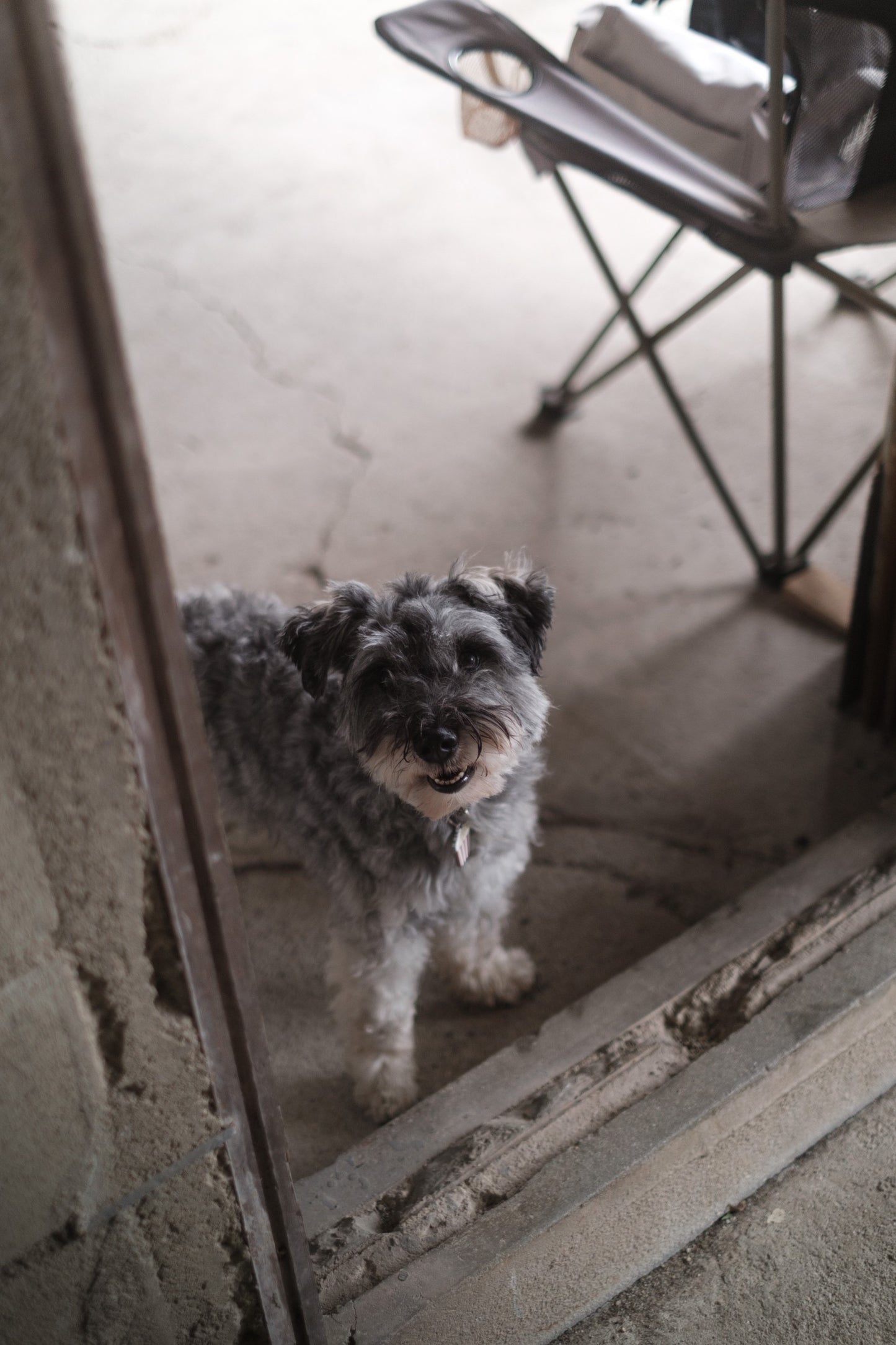 《 NAME TAG / 迷子札 》 災害対策・キーホルダー