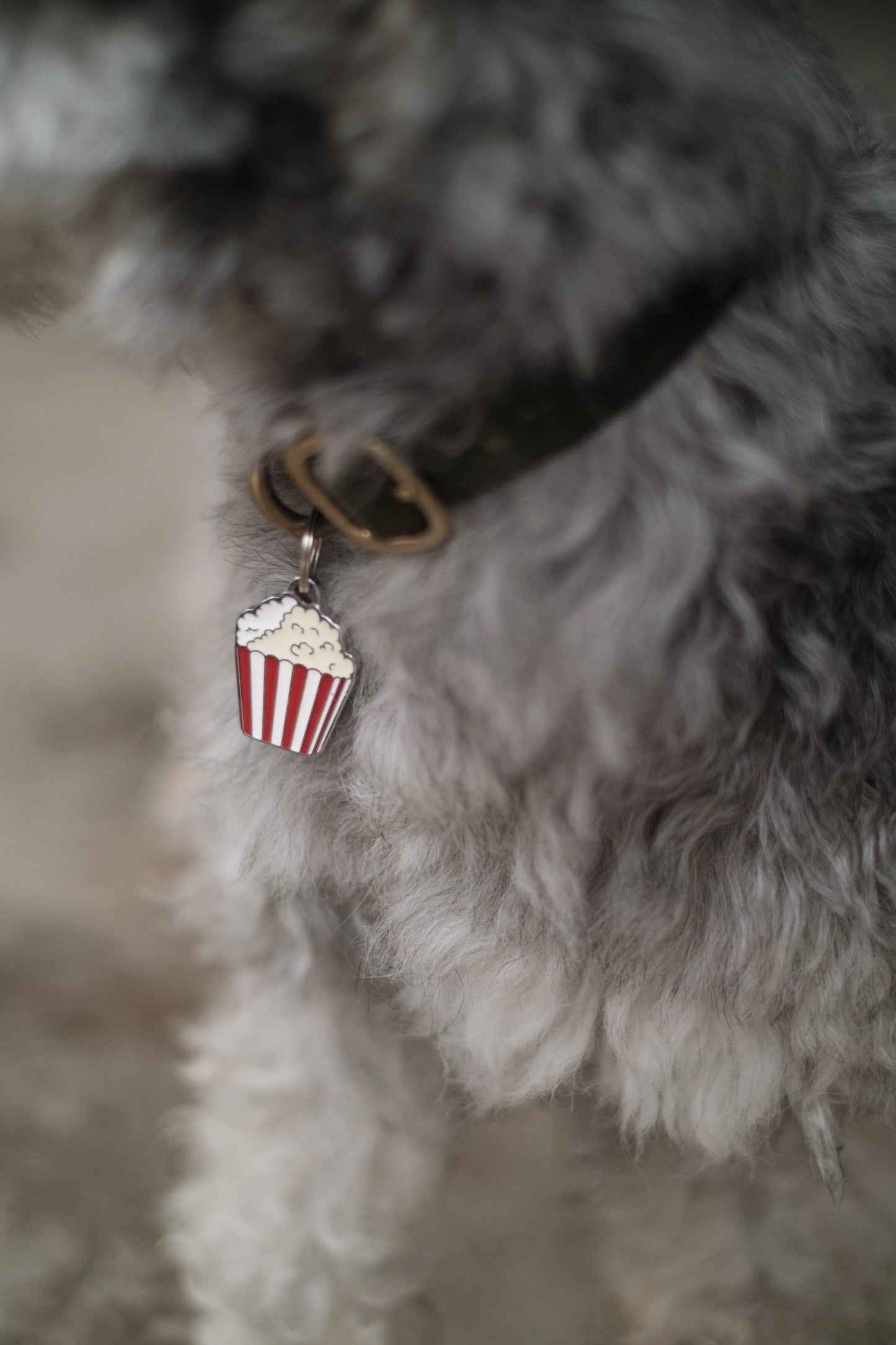 《 NAME TAG / 迷子札 》 災害対策・キーホルダー