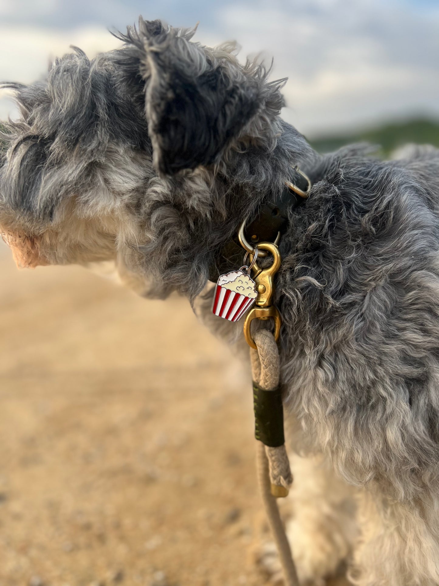 《 NAME TAG / 迷子札 》 災害対策・キーホルダー