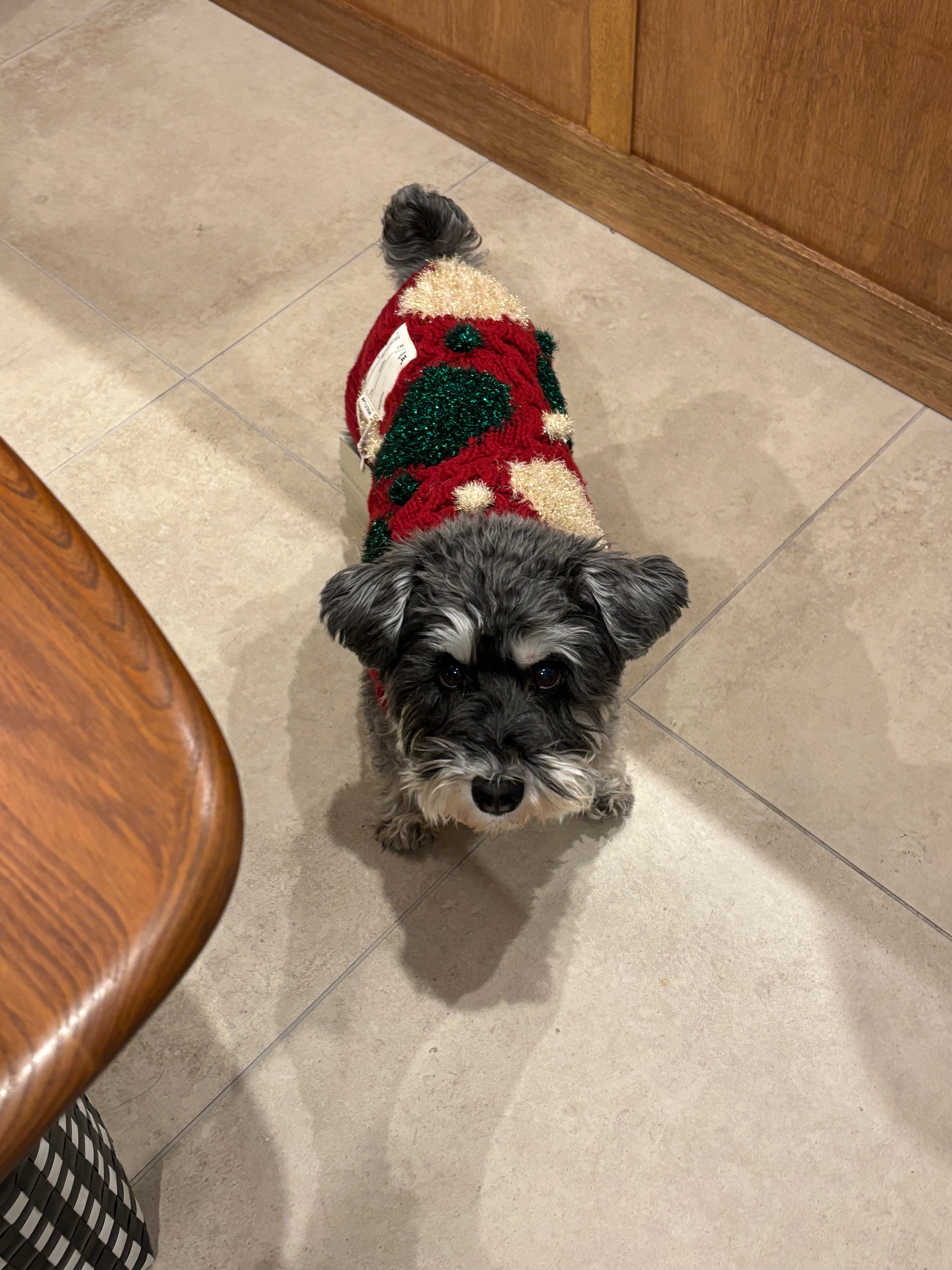 super cute holiday Knit 🧶 – mellowbear