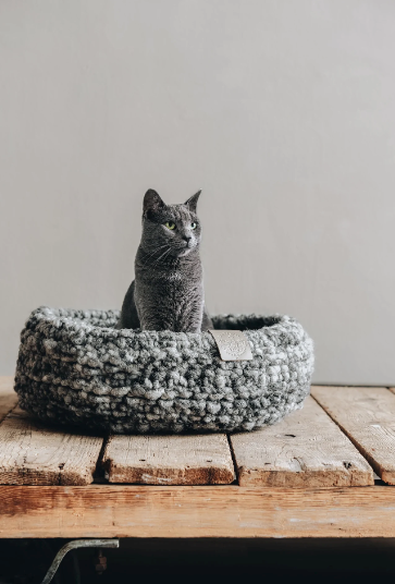 《NEST》《猫ちゃん&小型犬用ベット》