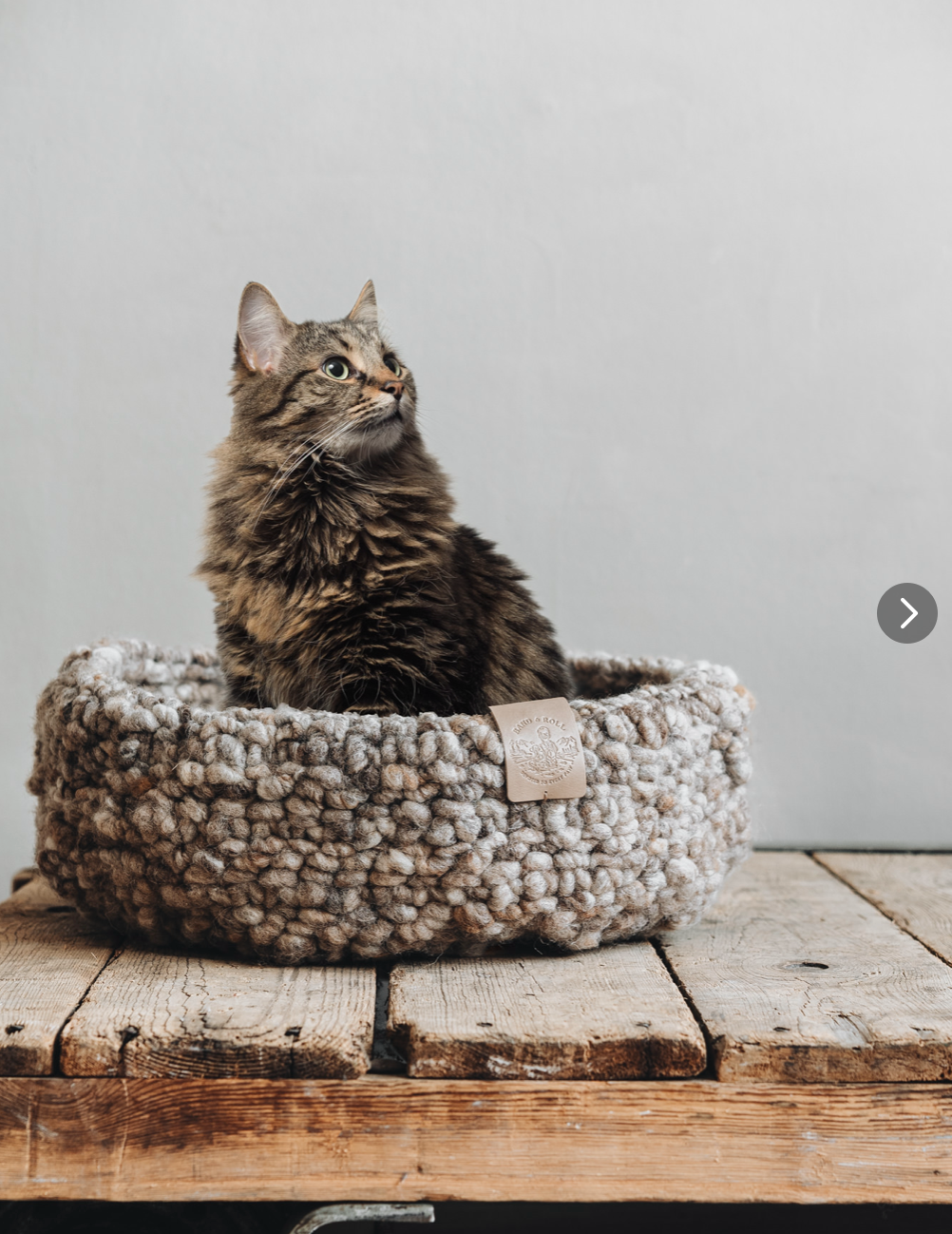 《NEST》《猫ちゃん&小型犬用ベット》