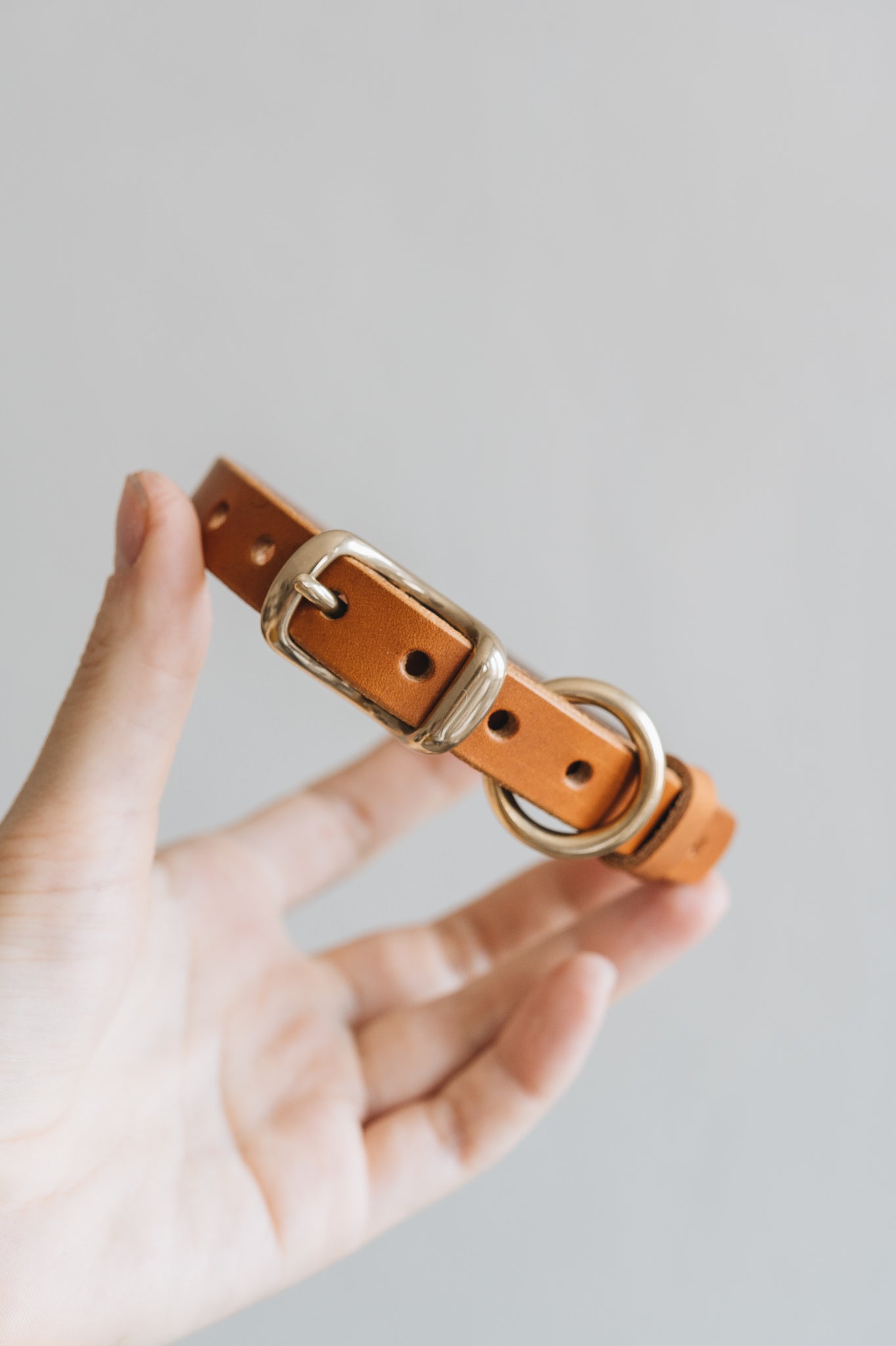 《小型犬用》《FIR AIR》《イタリア製フルグレインレザーの首輪》