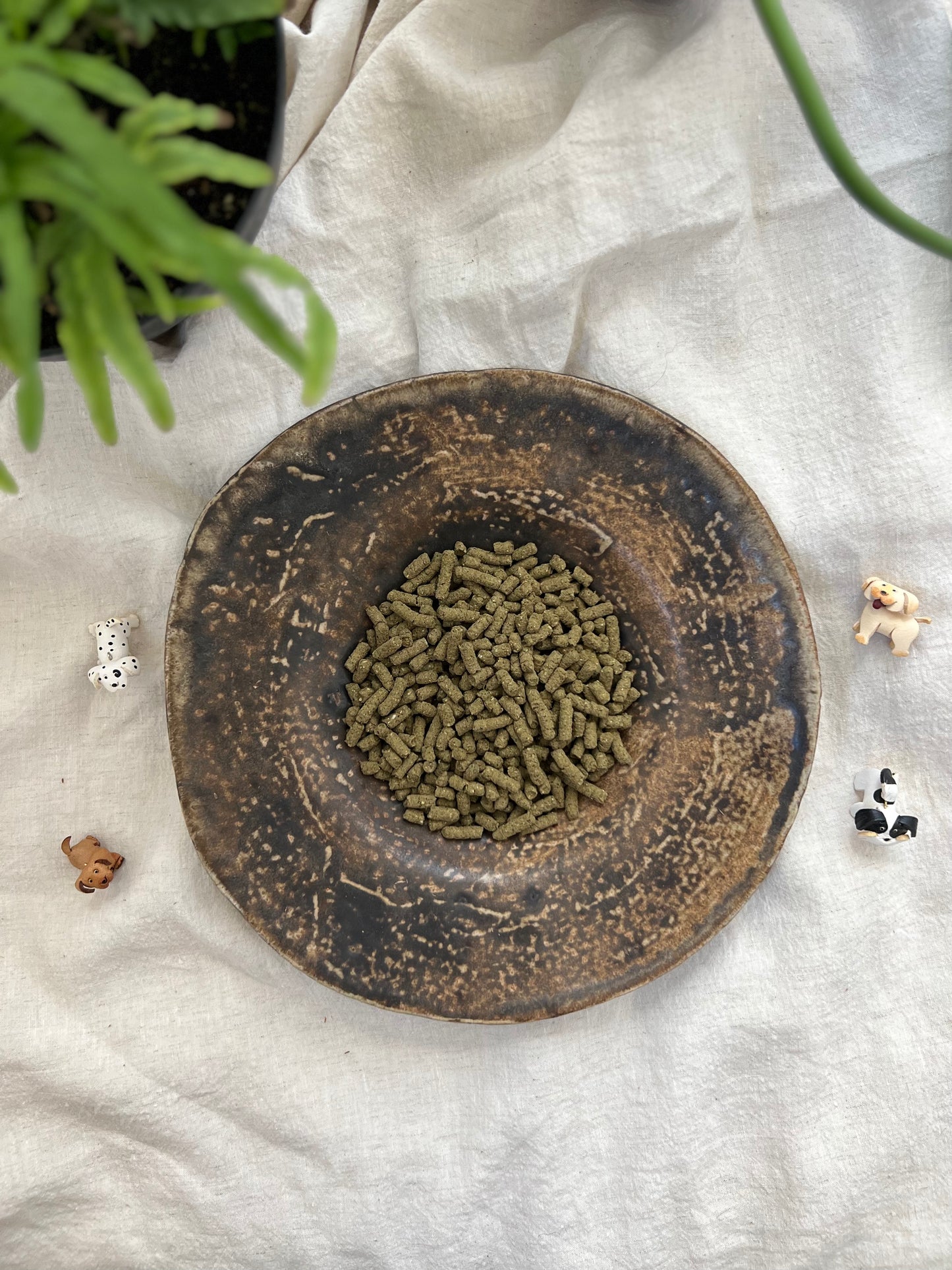 《栄養満点》《自然の旨味たっぷり鹿肉ジャーキ&ドライフードセット》