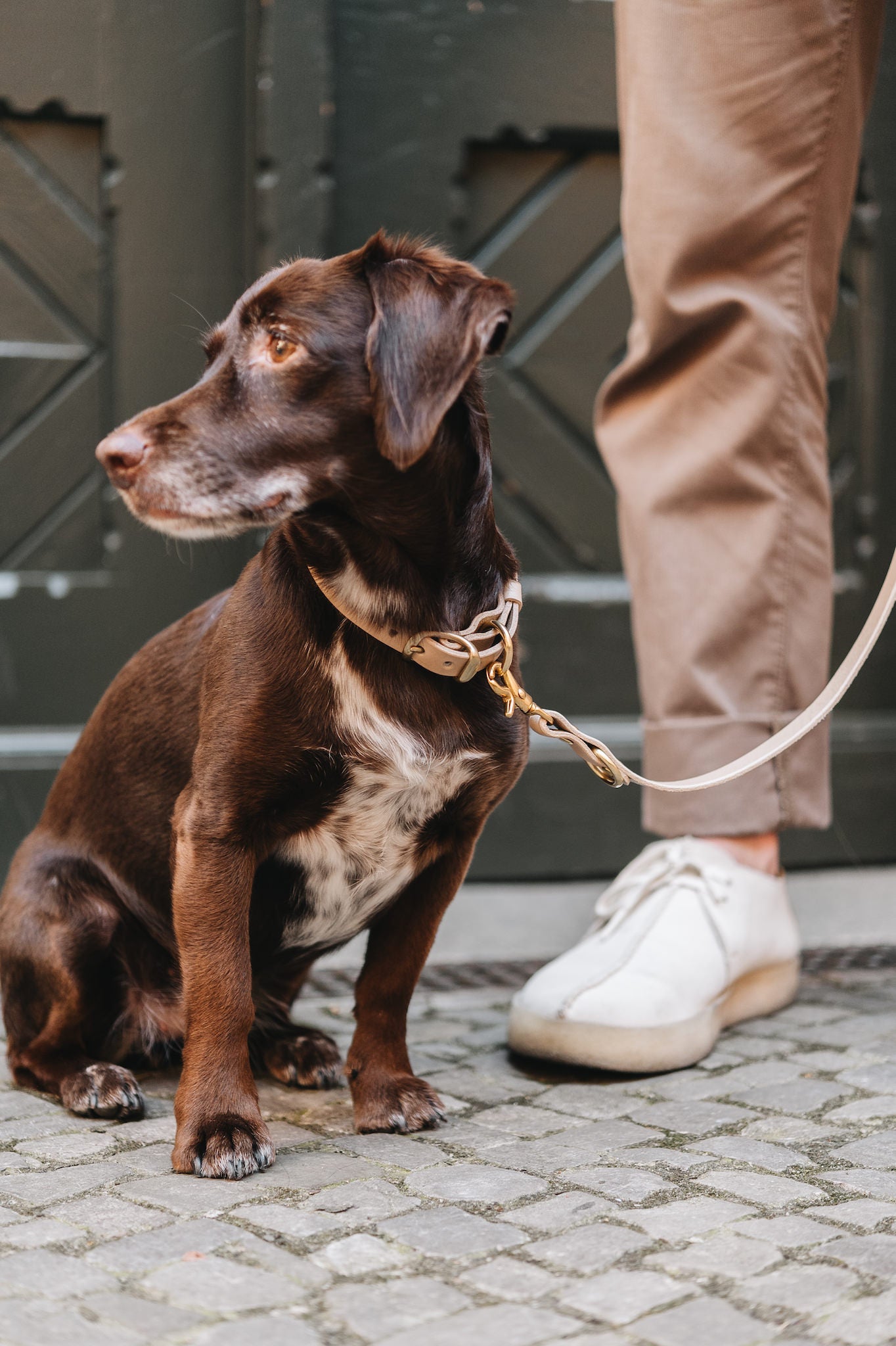 《Lasso Air》《小型犬用》《イタリア製フルグレインレザーの肩掛けリーシュ》