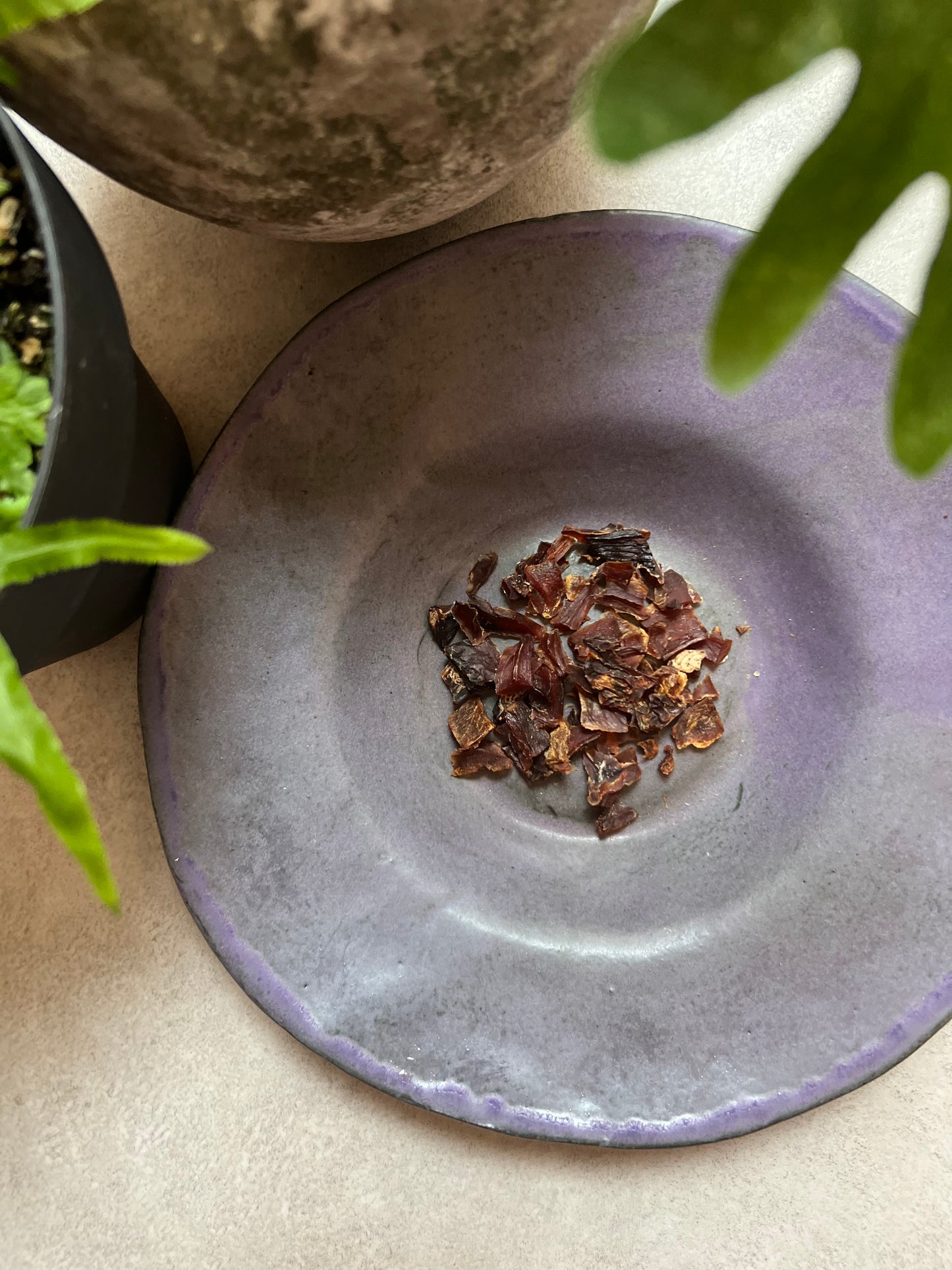 《無添加》《栄養満点》《かつおのまんま/ カツオくん》