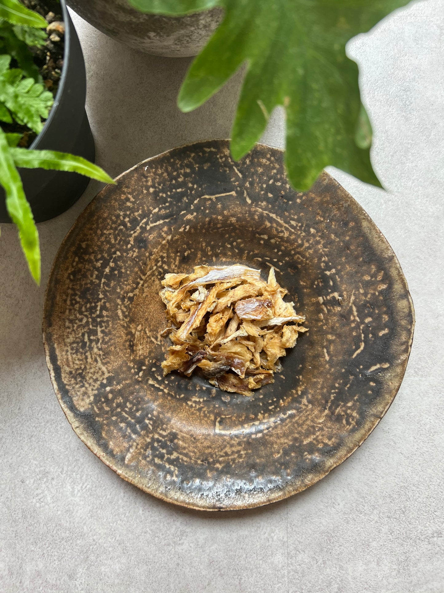 《無添加》《栄養満点》《たらのまんま》