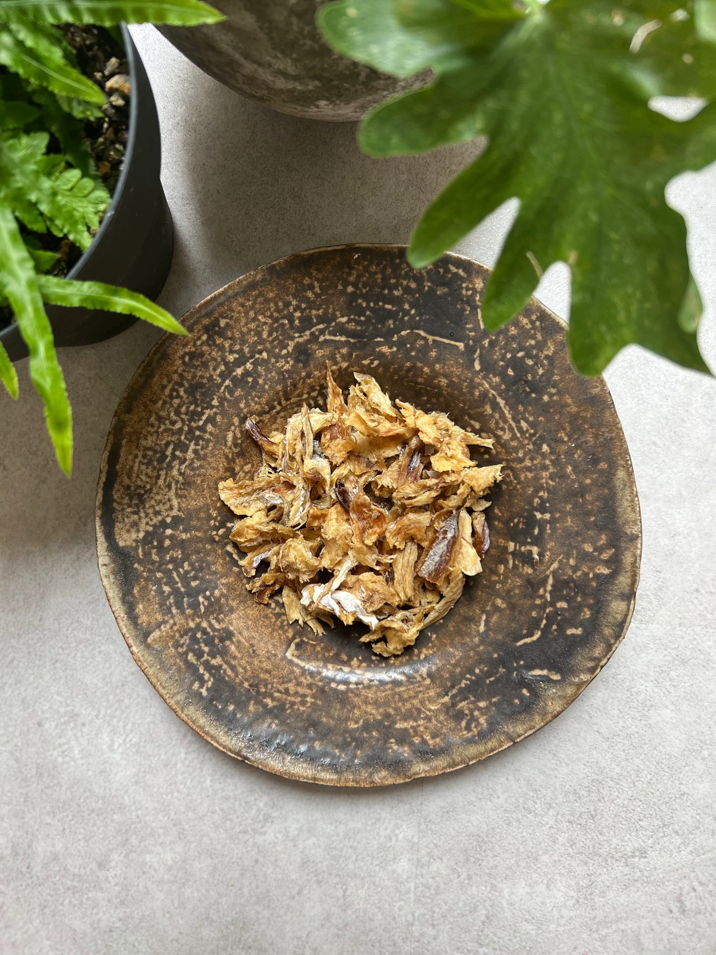 《無添加》《栄養満点》《たらのまんま》