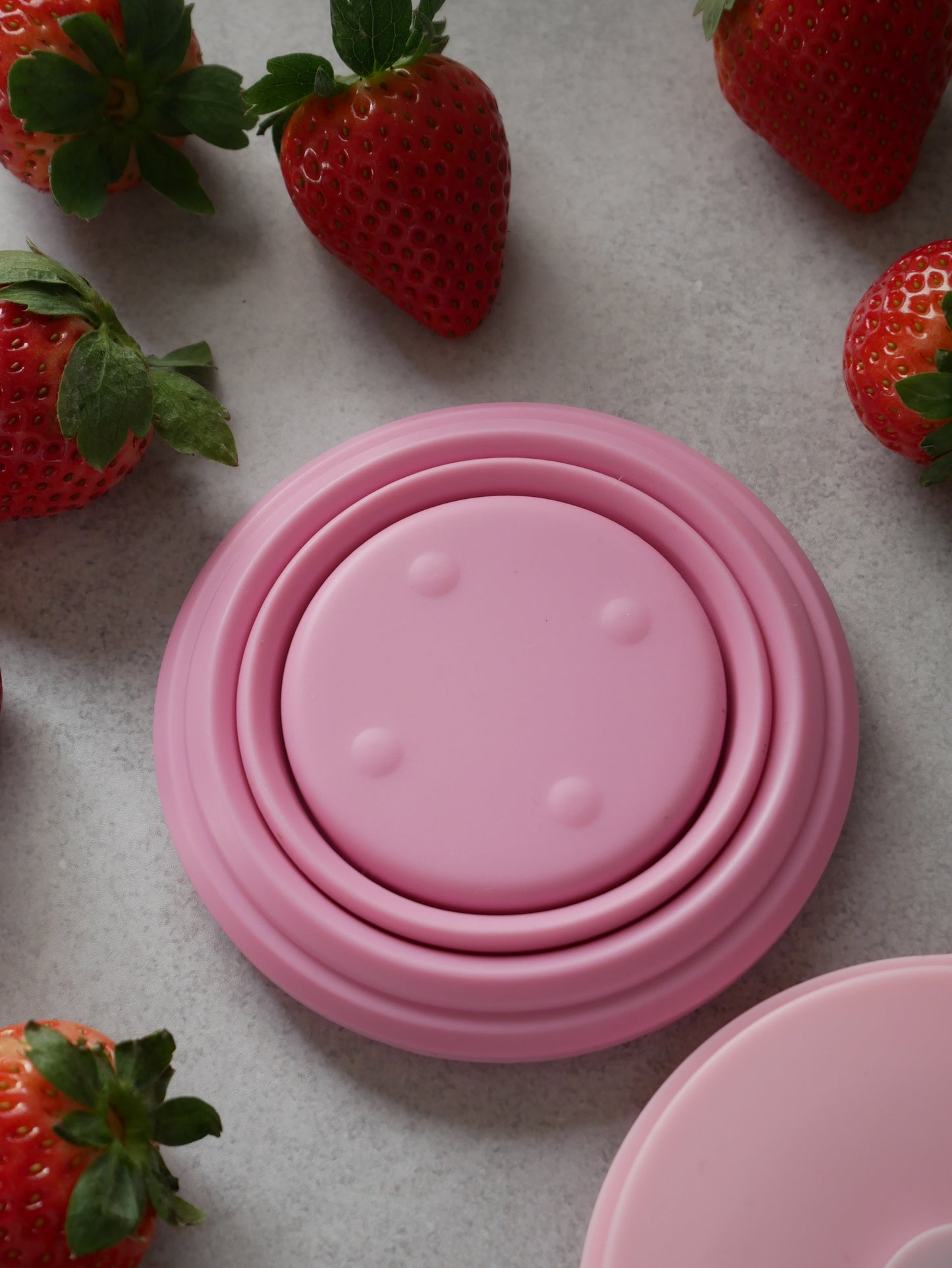 《限定色》蓋付きお水飲みボウル / Dream Haze Collection