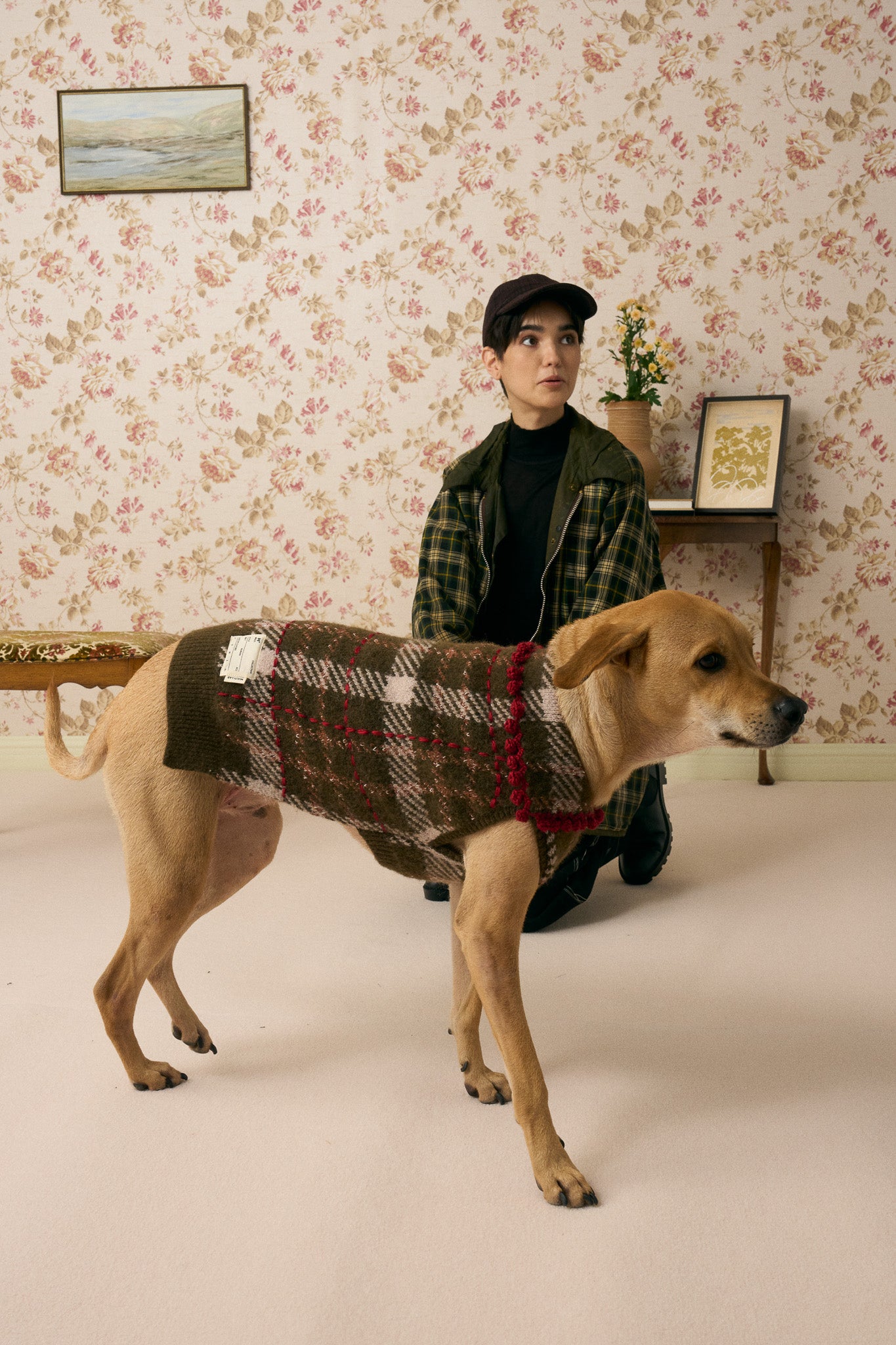 《犬服》multi knit / No. 506　