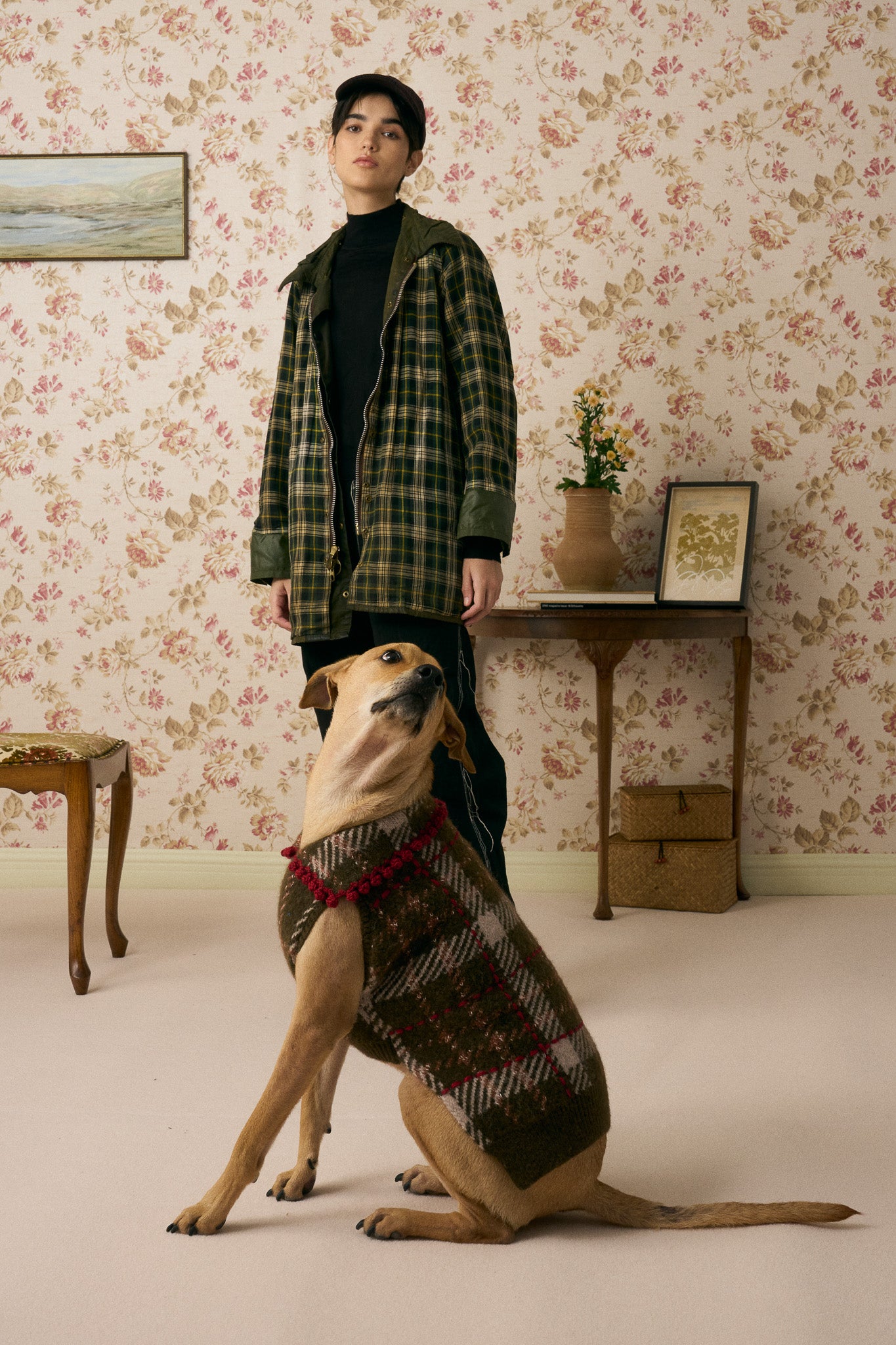 《犬服》multi knit / No. 506　