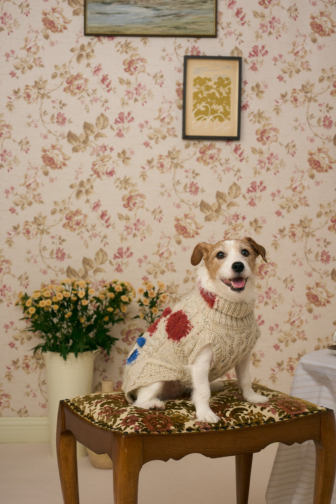 《犬服》multi knit / No. 504