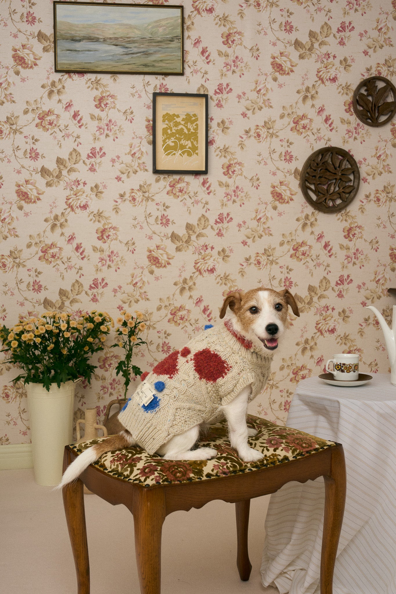 《犬服》multi knit / No. 504