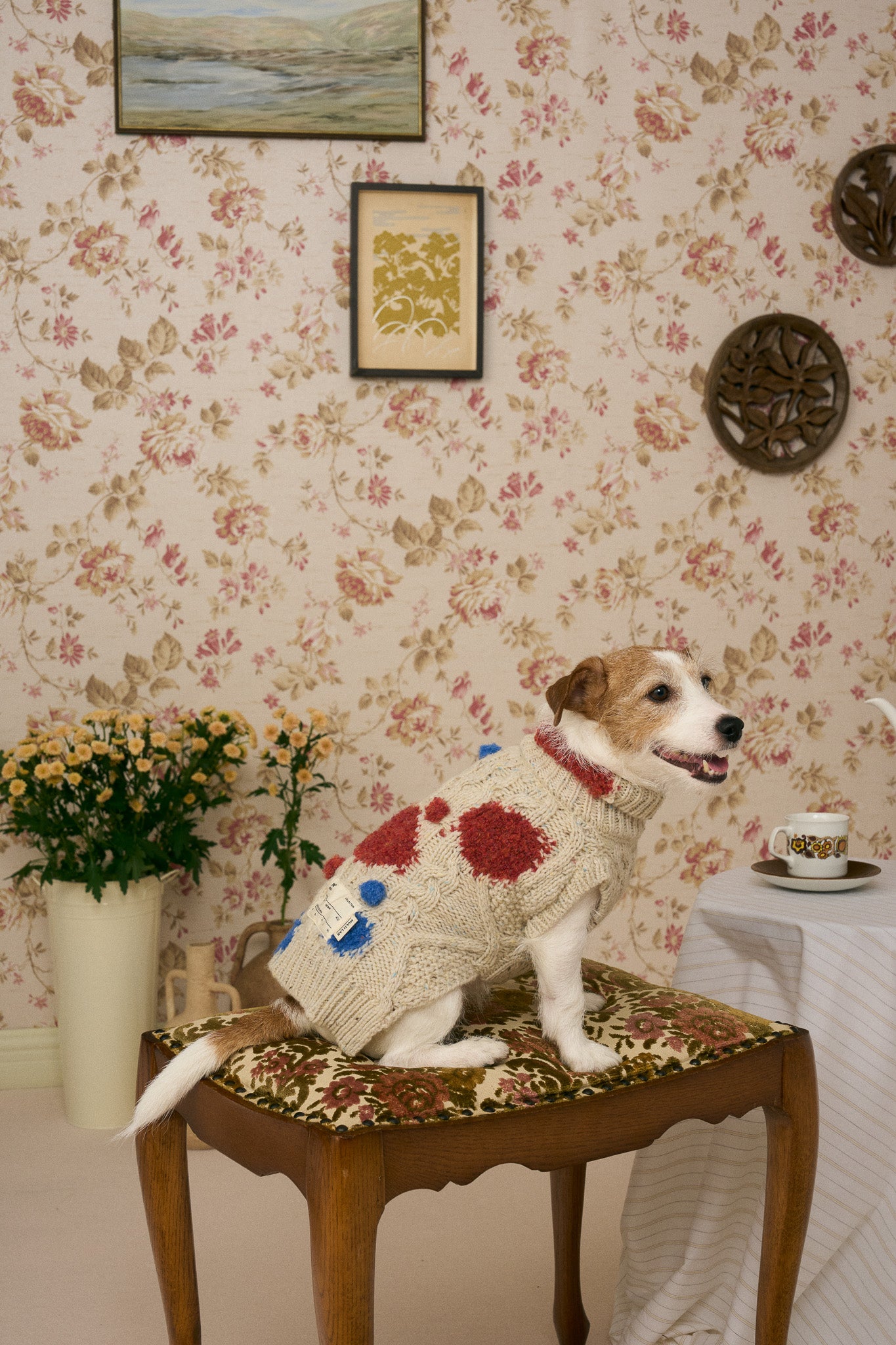 《犬服》multi knit / No. 504