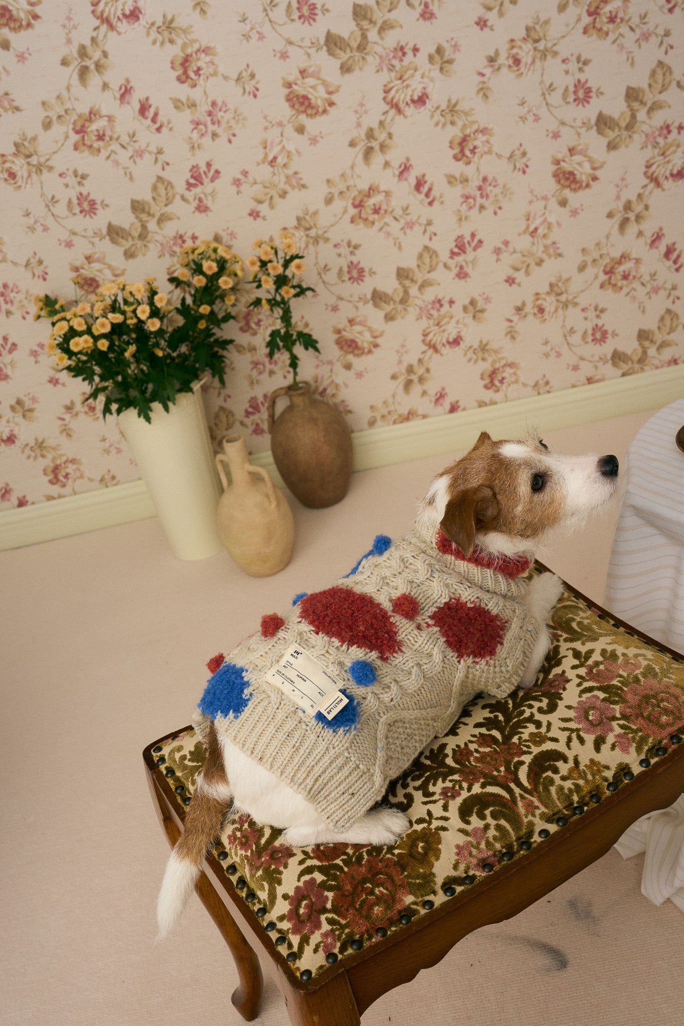 《犬服》multi knit / No. 504