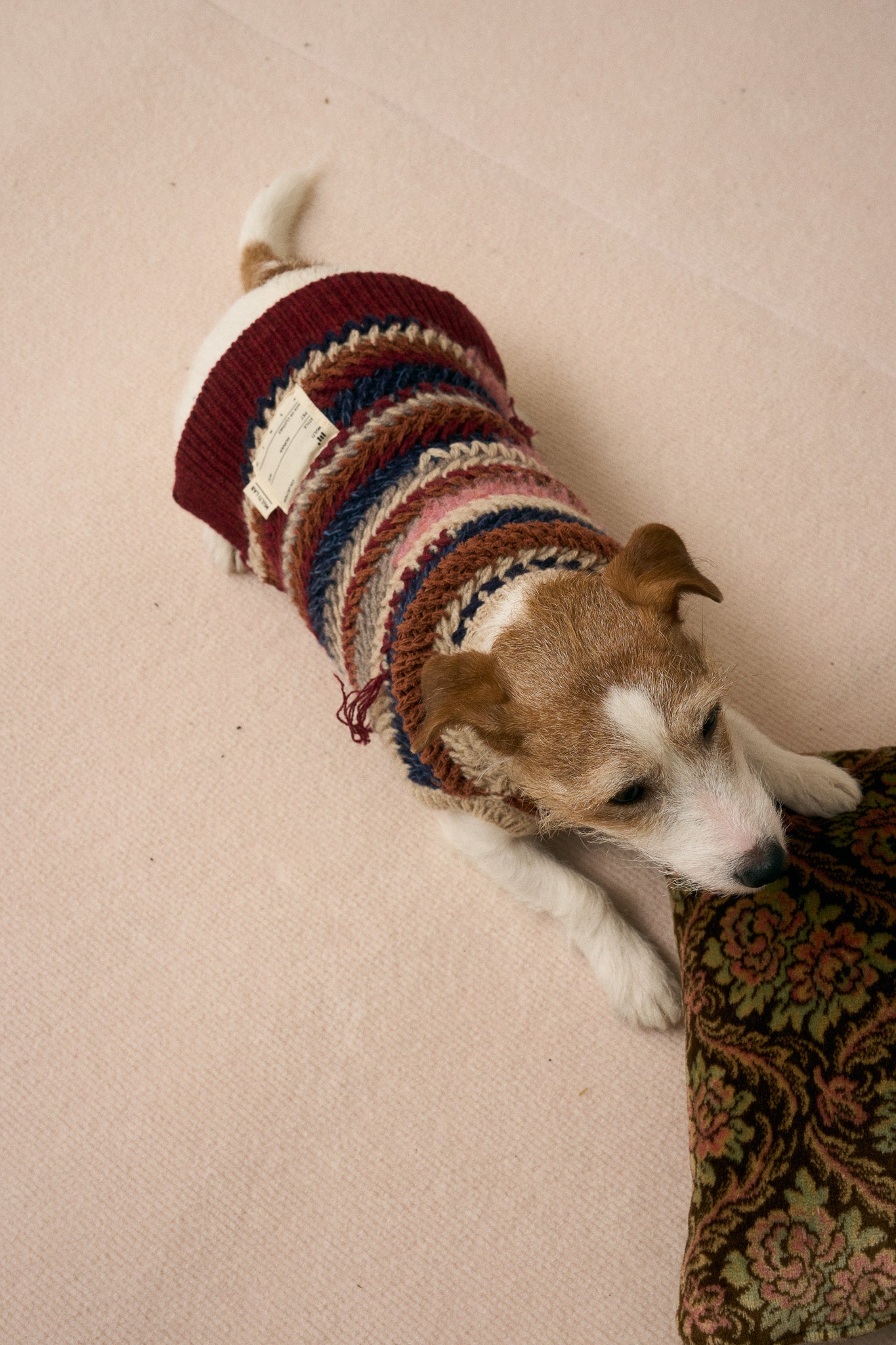 《犬服》multi knit / No. 502