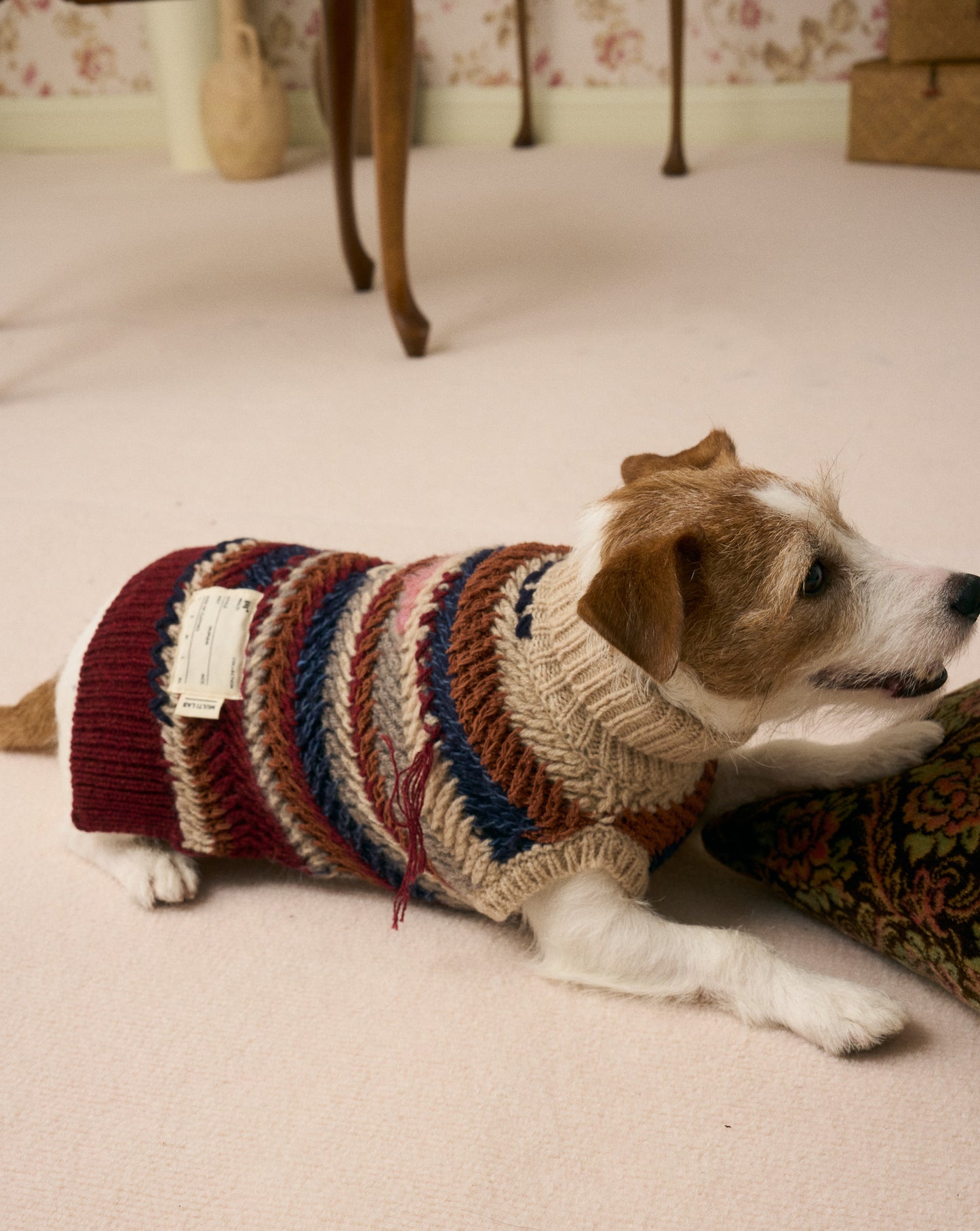 《犬服》multi knit / No. 502