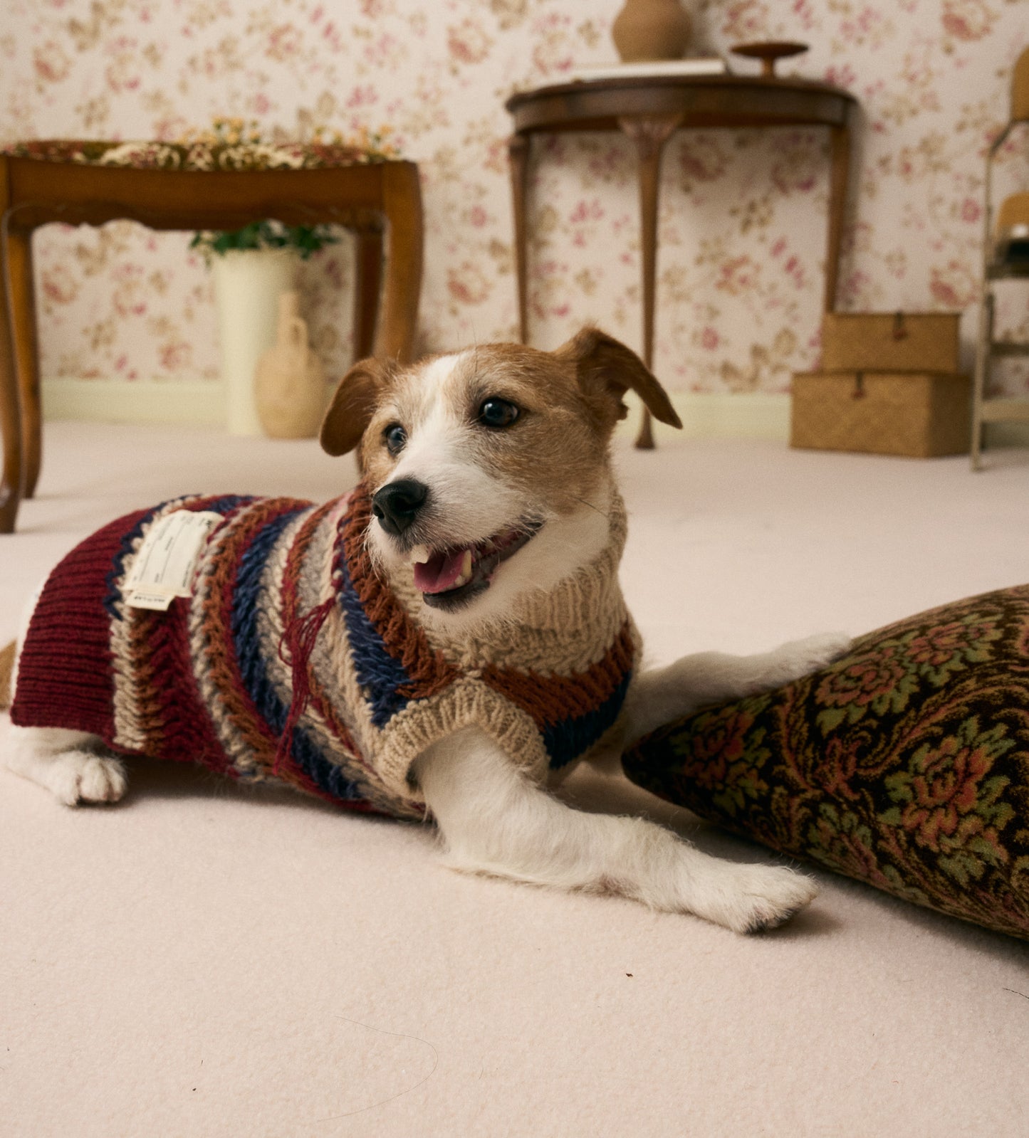 《犬服》multi knit / No. 502