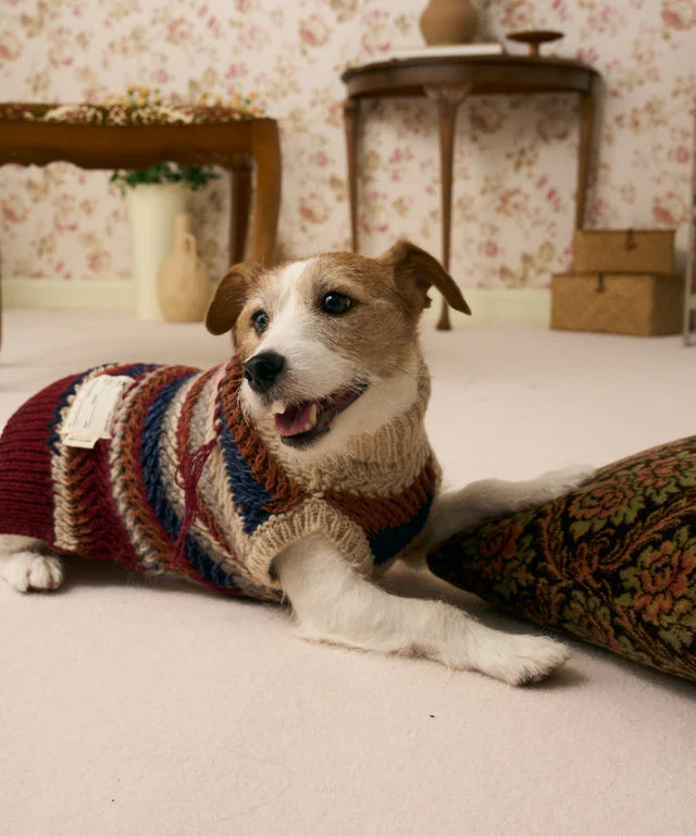 《犬服》multi knit / No. 502