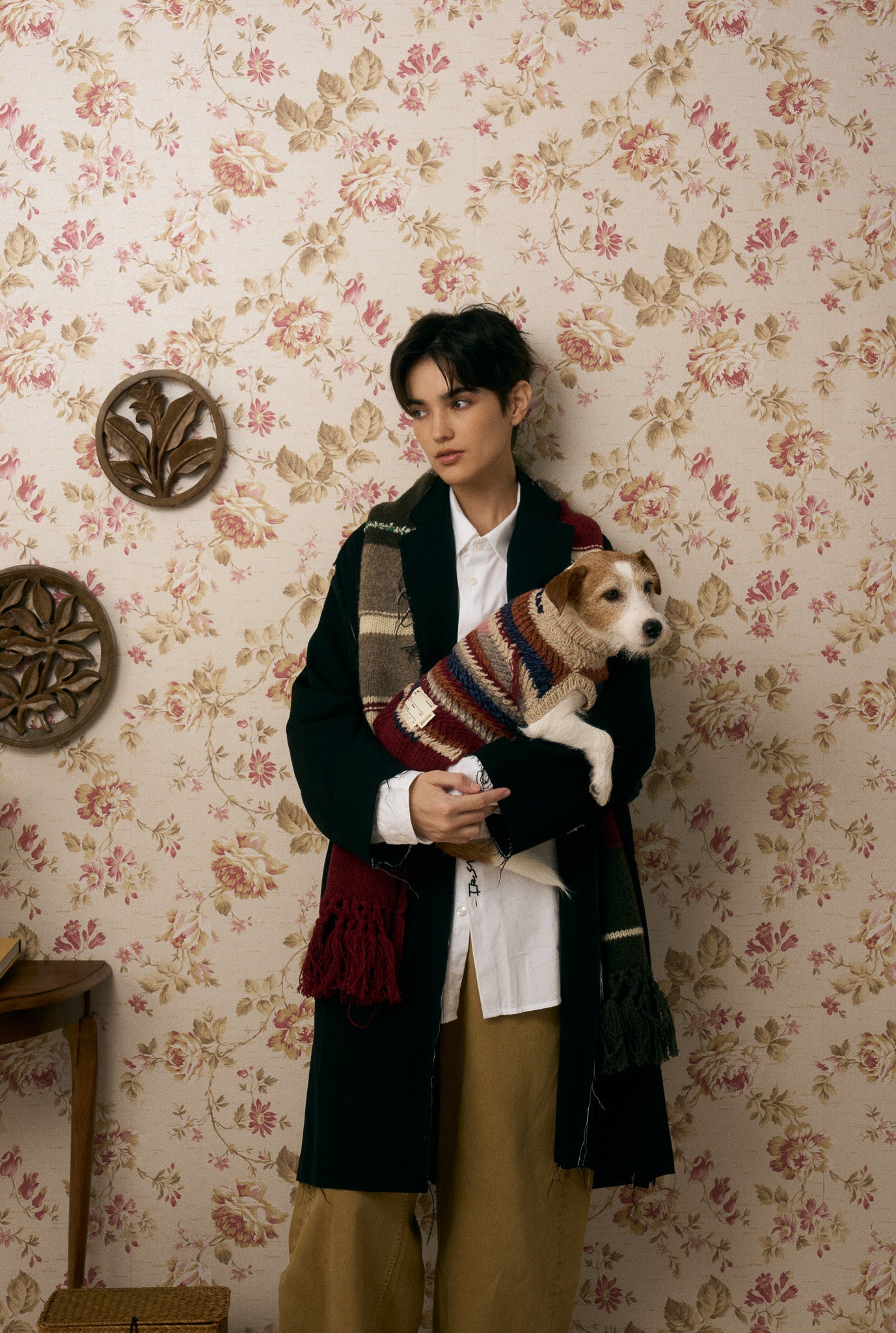 《犬服》multi knit / No. 502