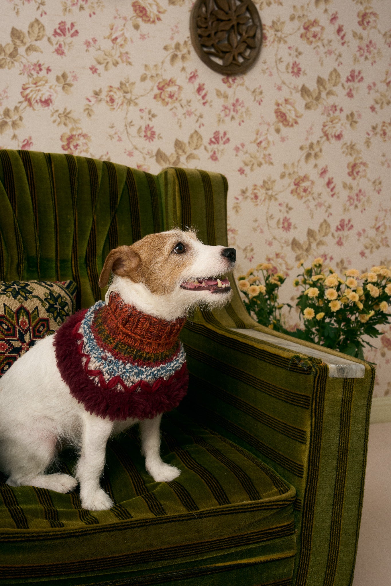 《スタイ》multi knit / No. 510