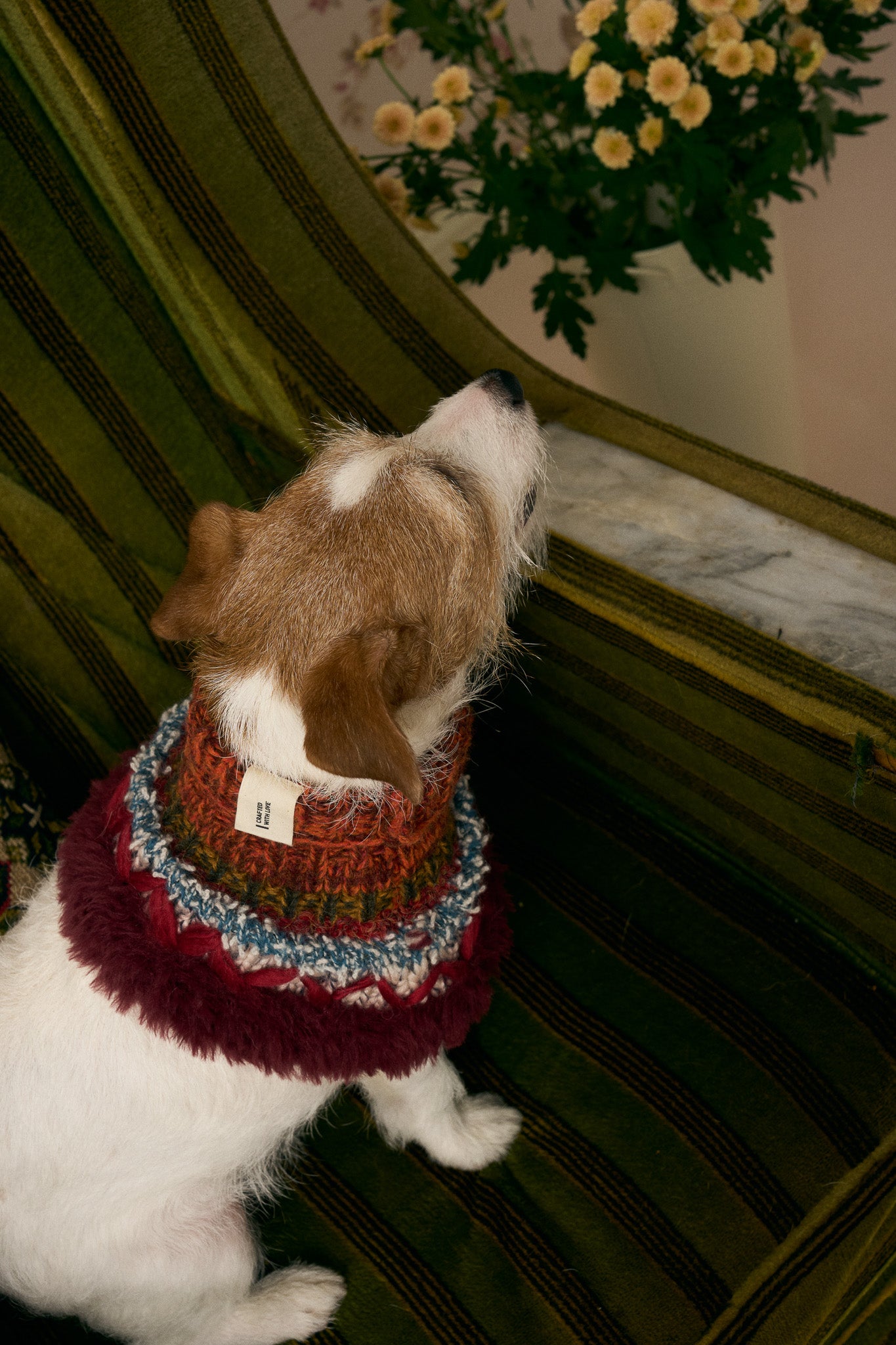 《スタイ》multi knit / No. 510