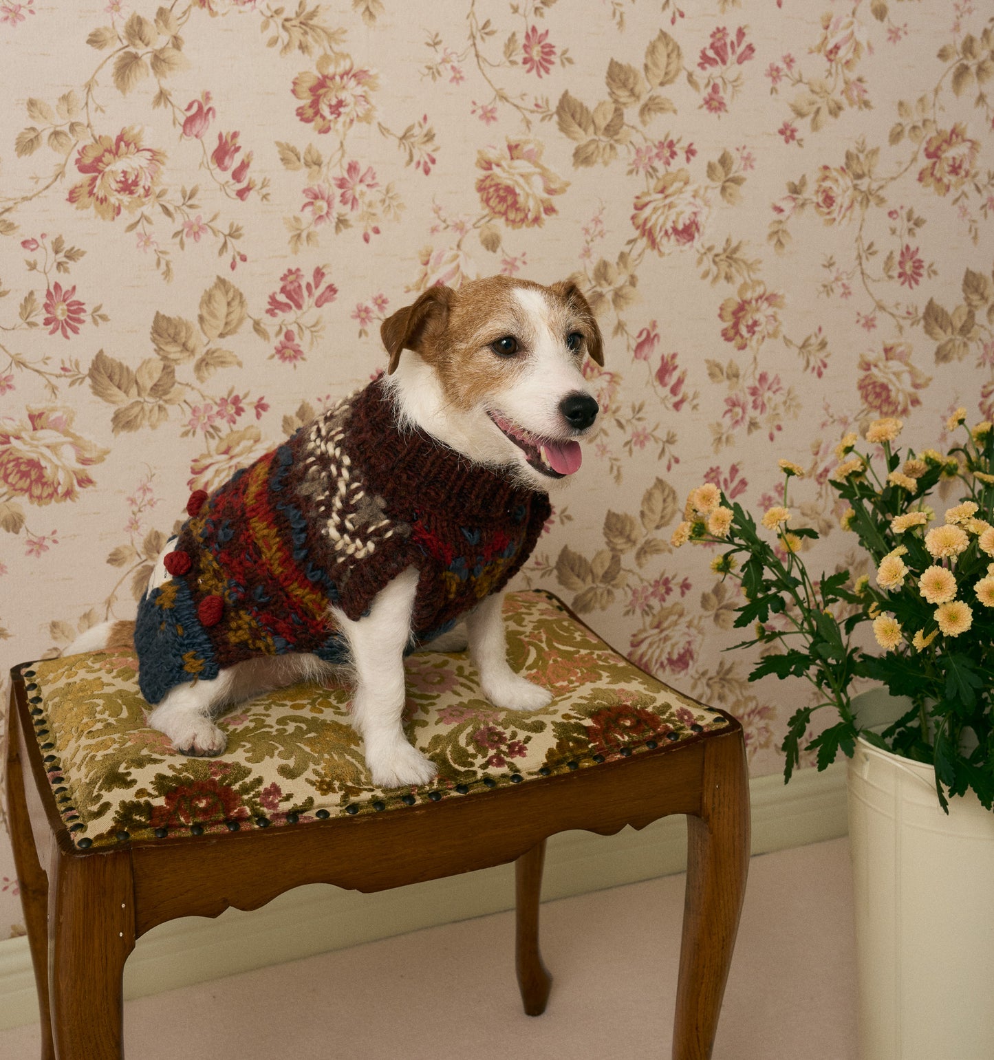 《犬服》multi knit / No. 501