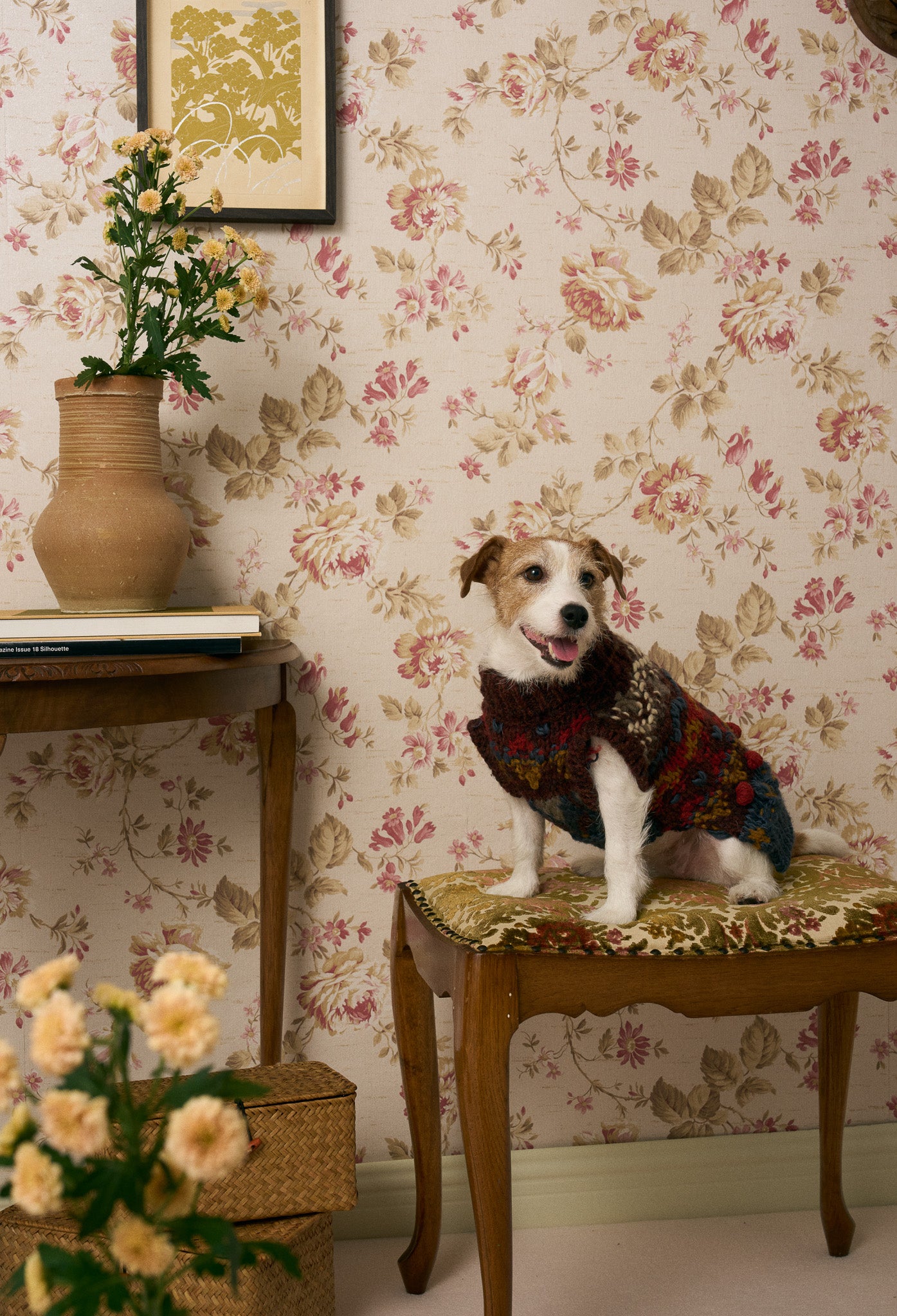 《犬服》multi knit / No. 501