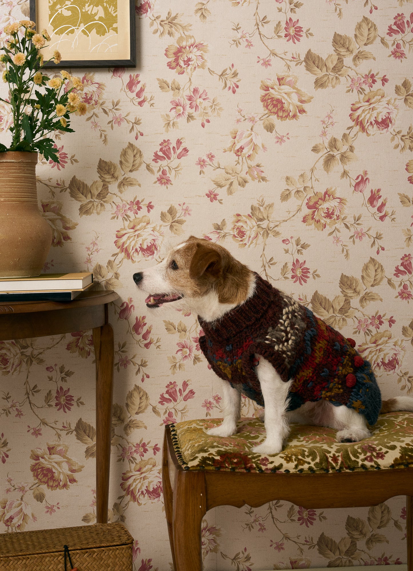 《犬服》multi knit / No. 501