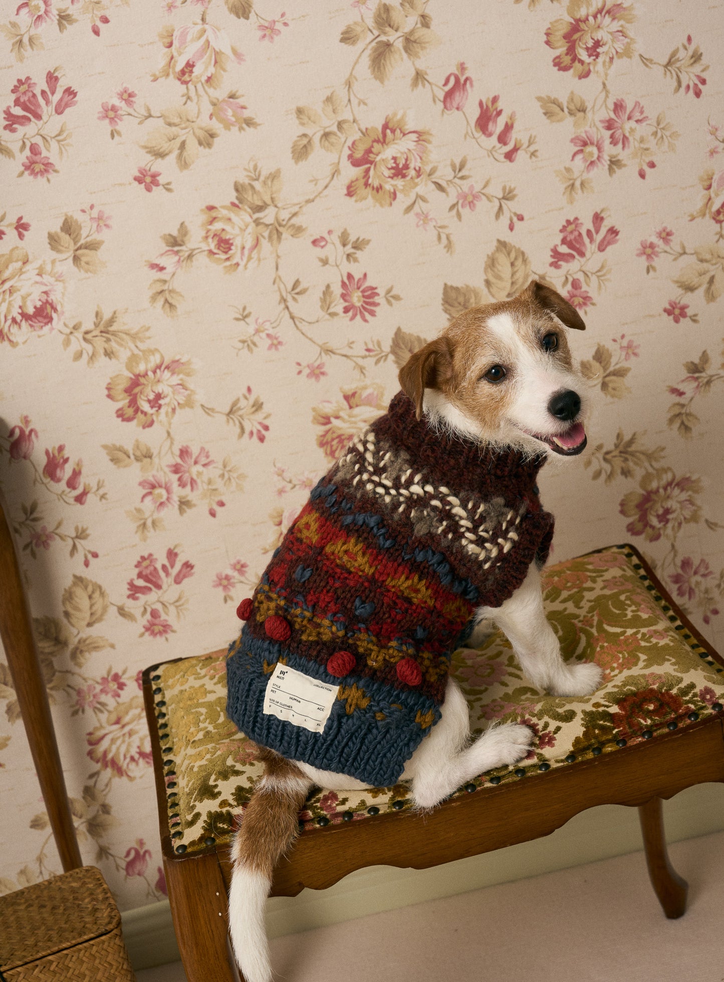 《犬服》multi knit / No. 501