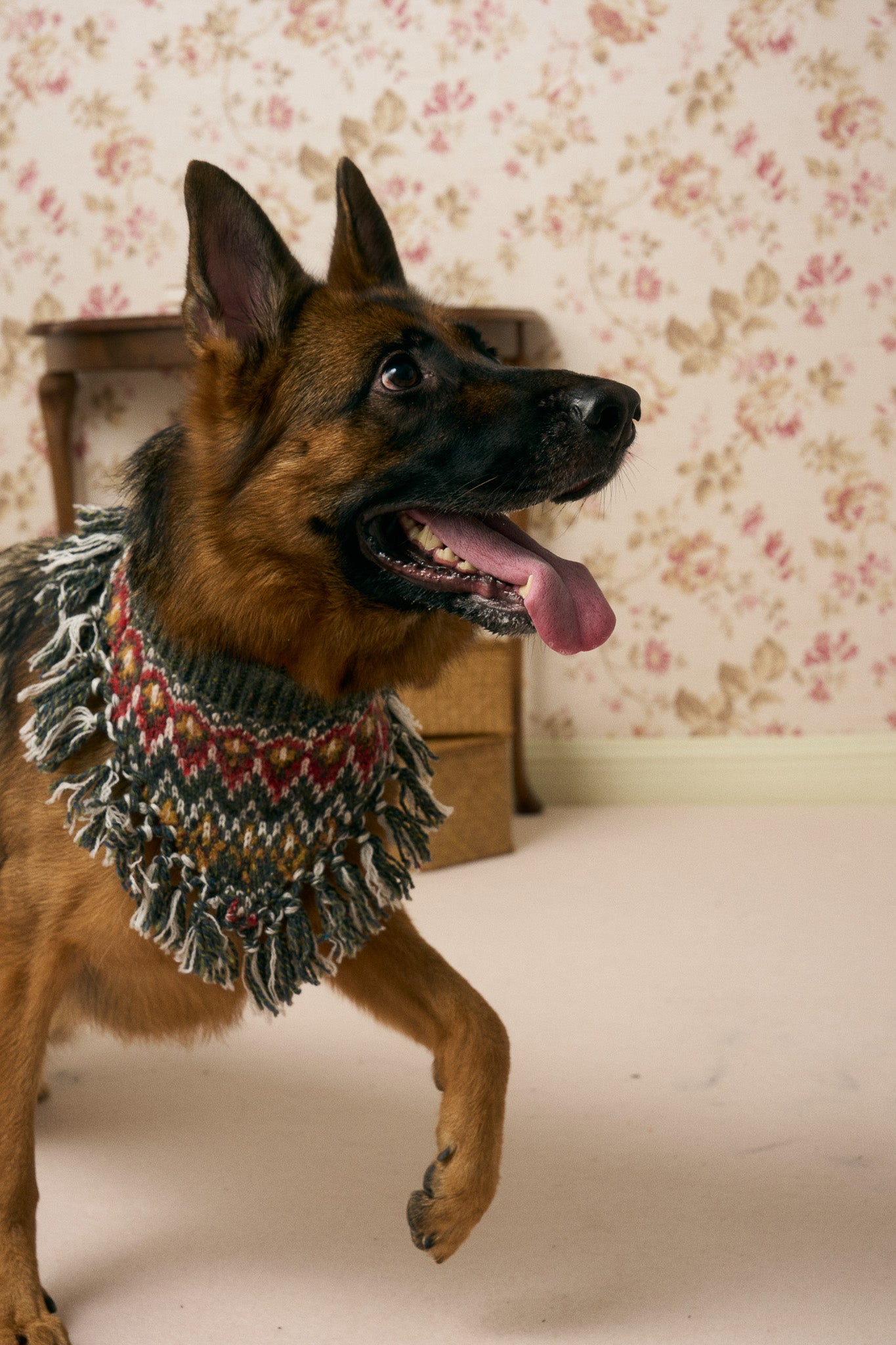 《スタイ》multi knit / No. 515　