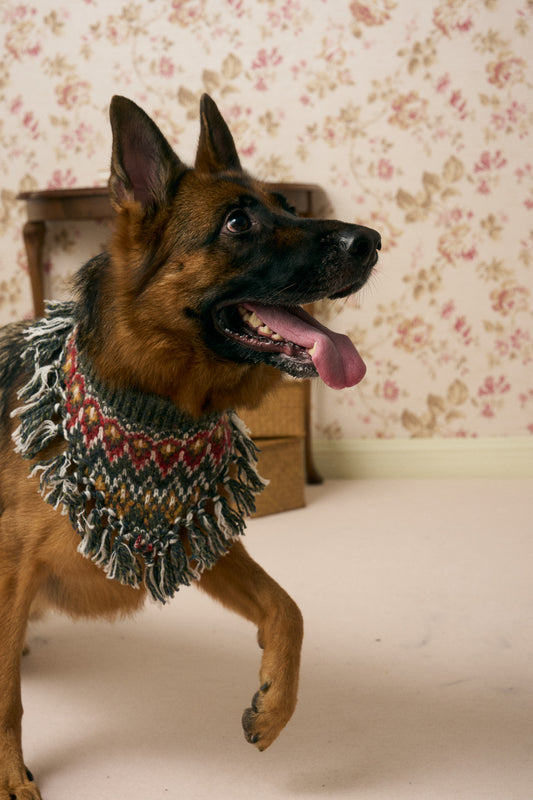 《スタイ》multi knit / No. 515　