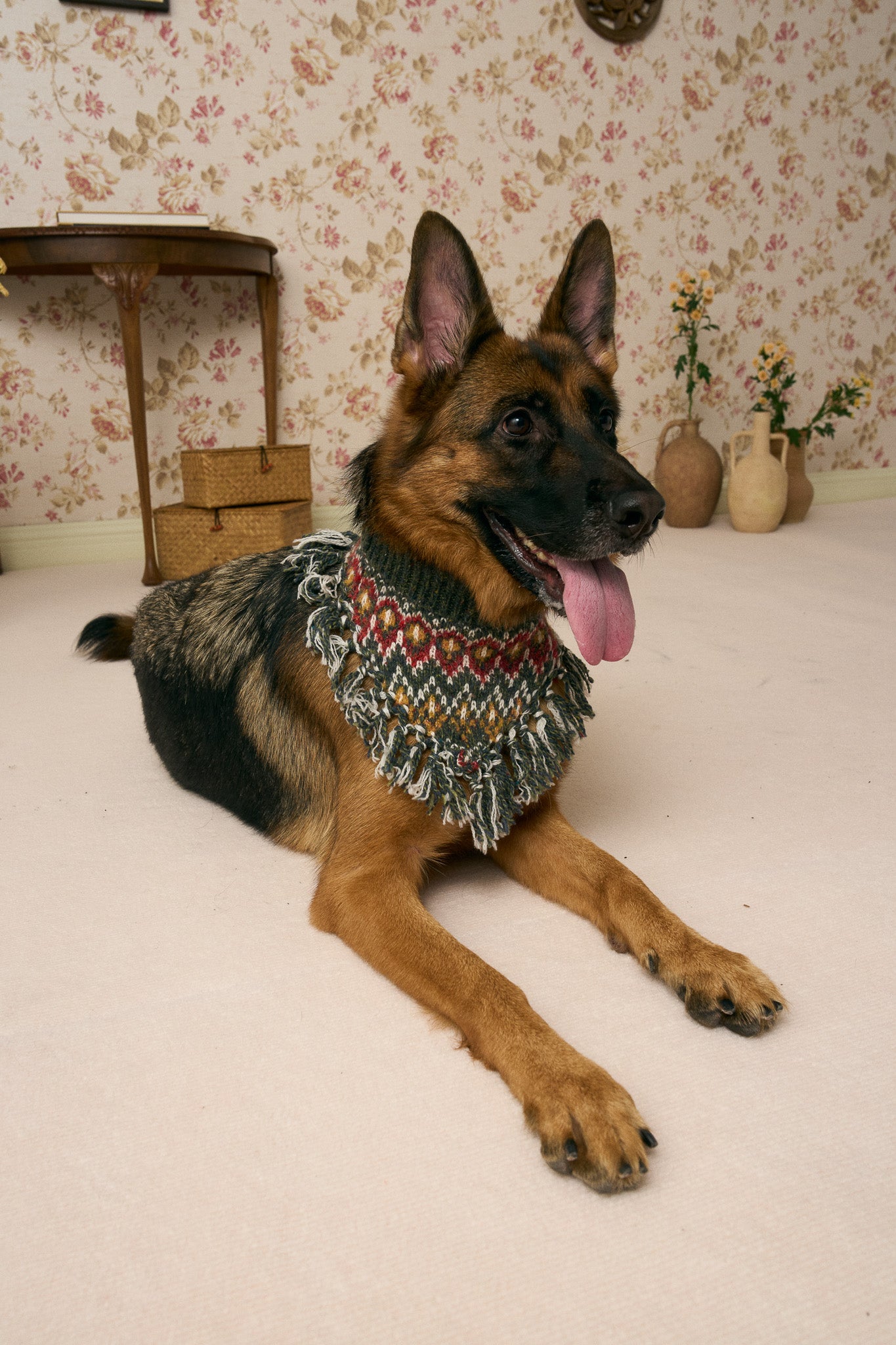 《スタイ》multi knit / No. 515　