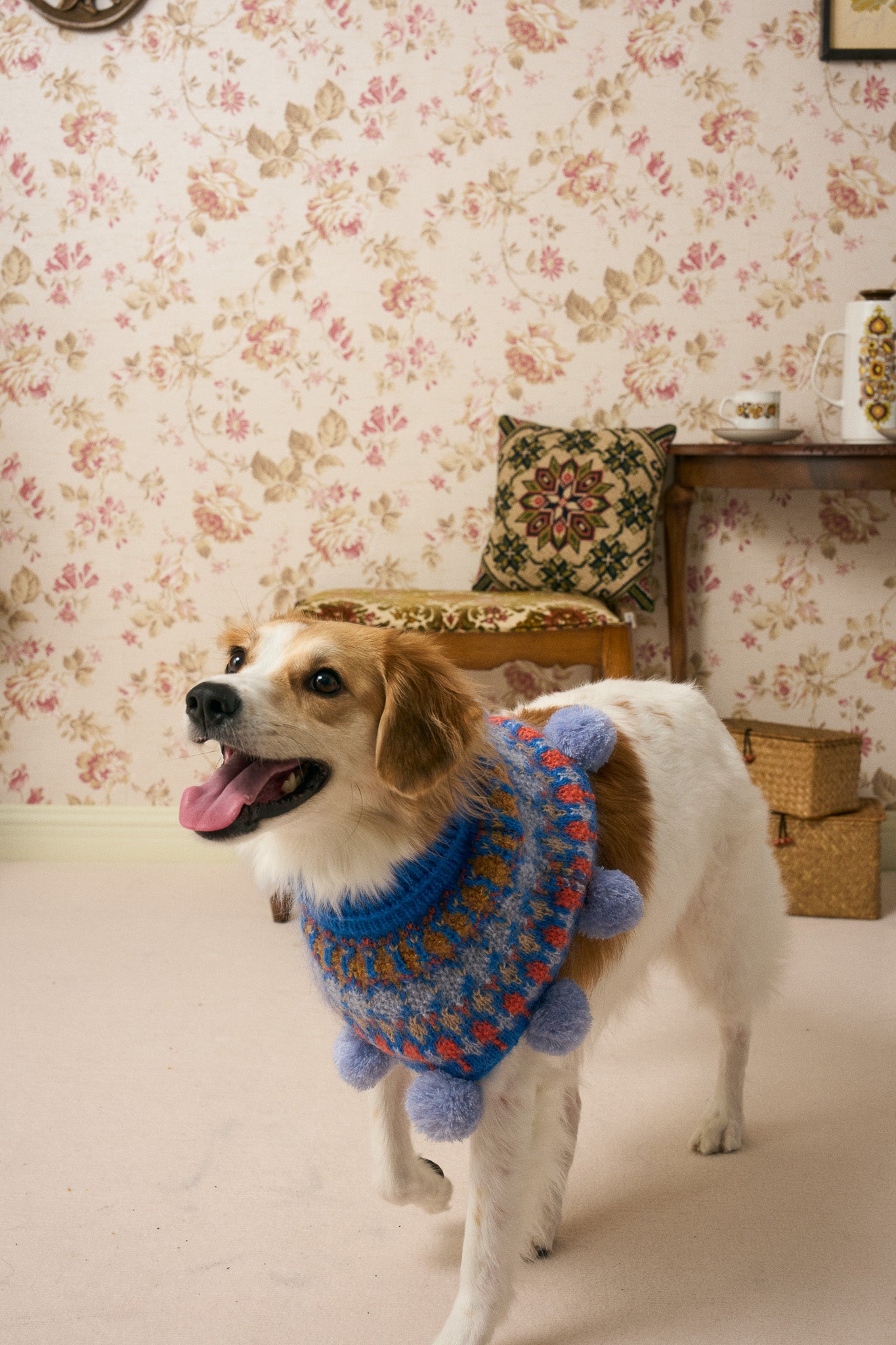 《スタイ》multi knit / No. 517