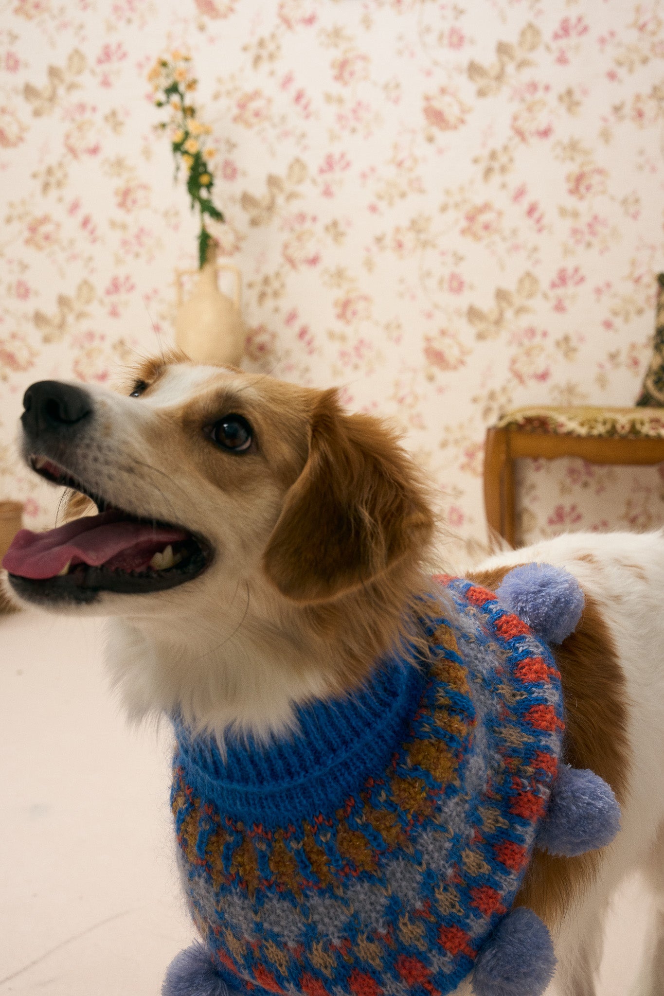 《スタイ》multi knit / No. 517