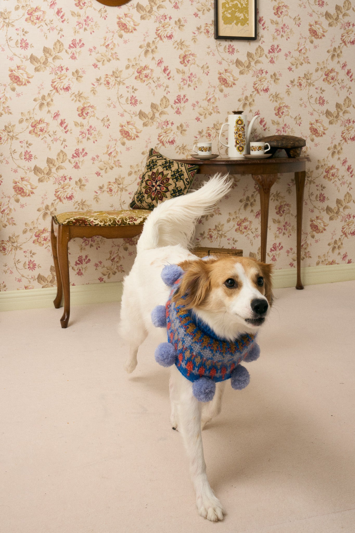 《スタイ》multi knit / No. 517